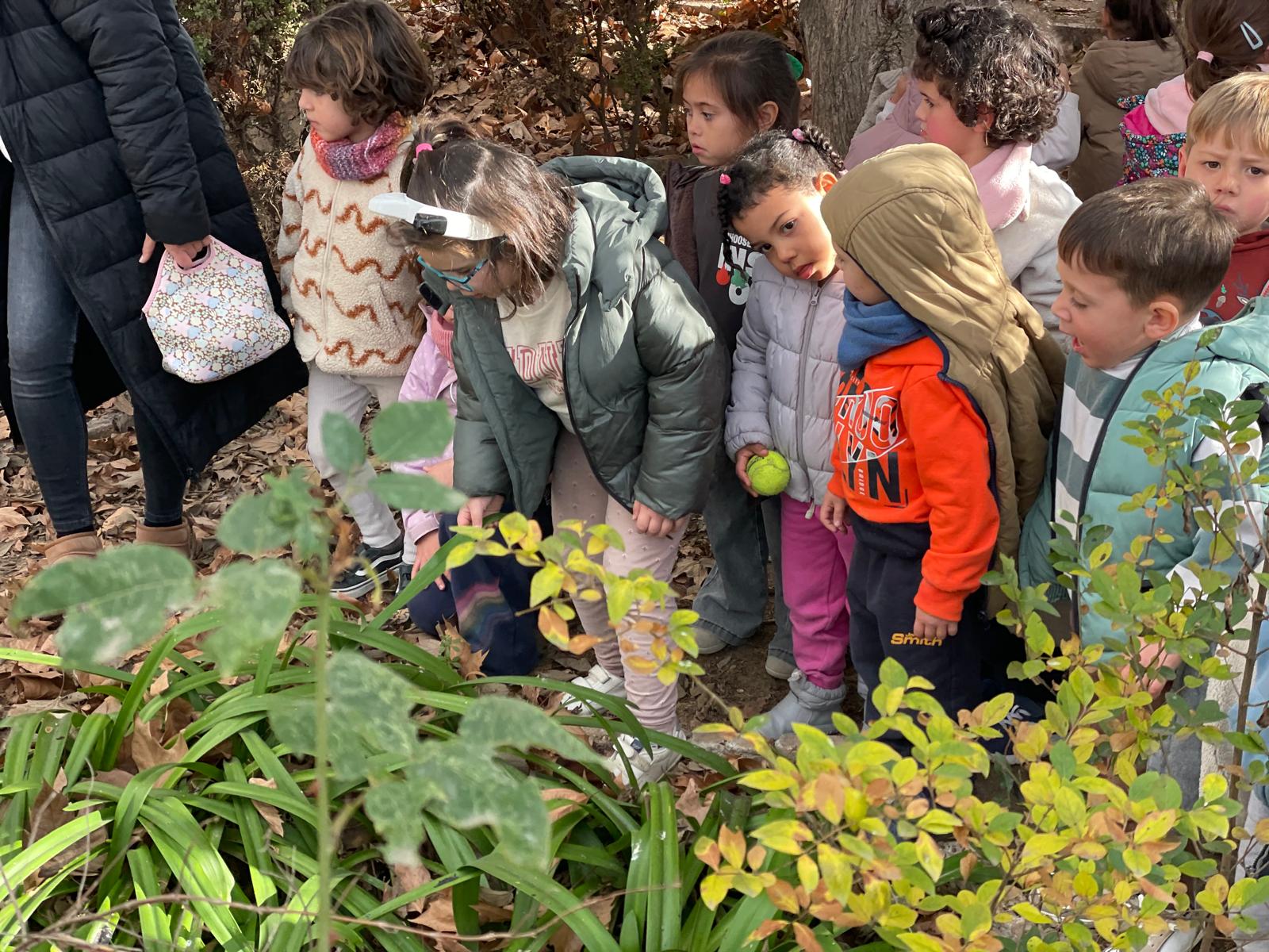 PHOTO-2025-01-19-17-38-40 3