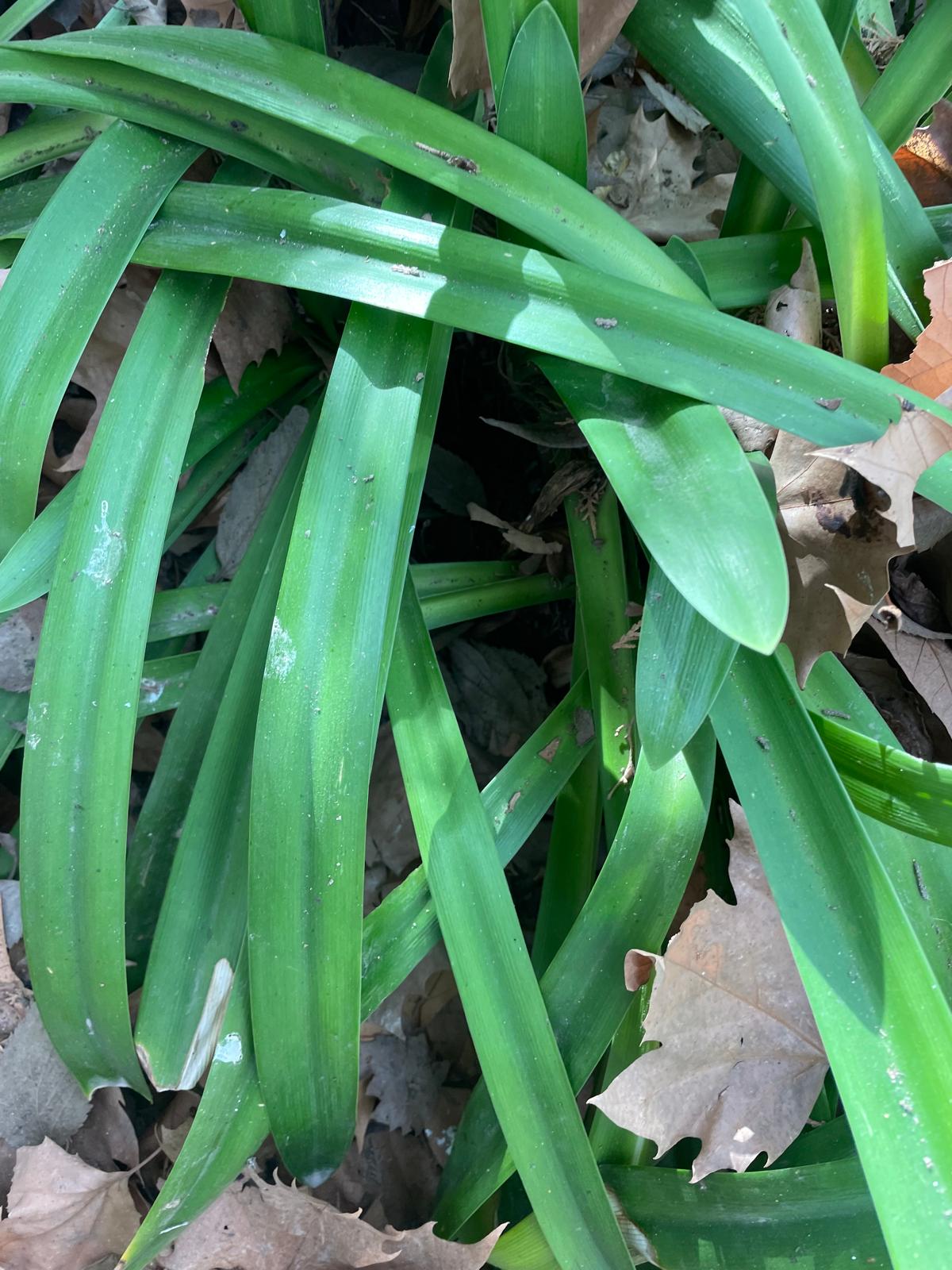 PHOTO-2025-01-19-17-38-40 4