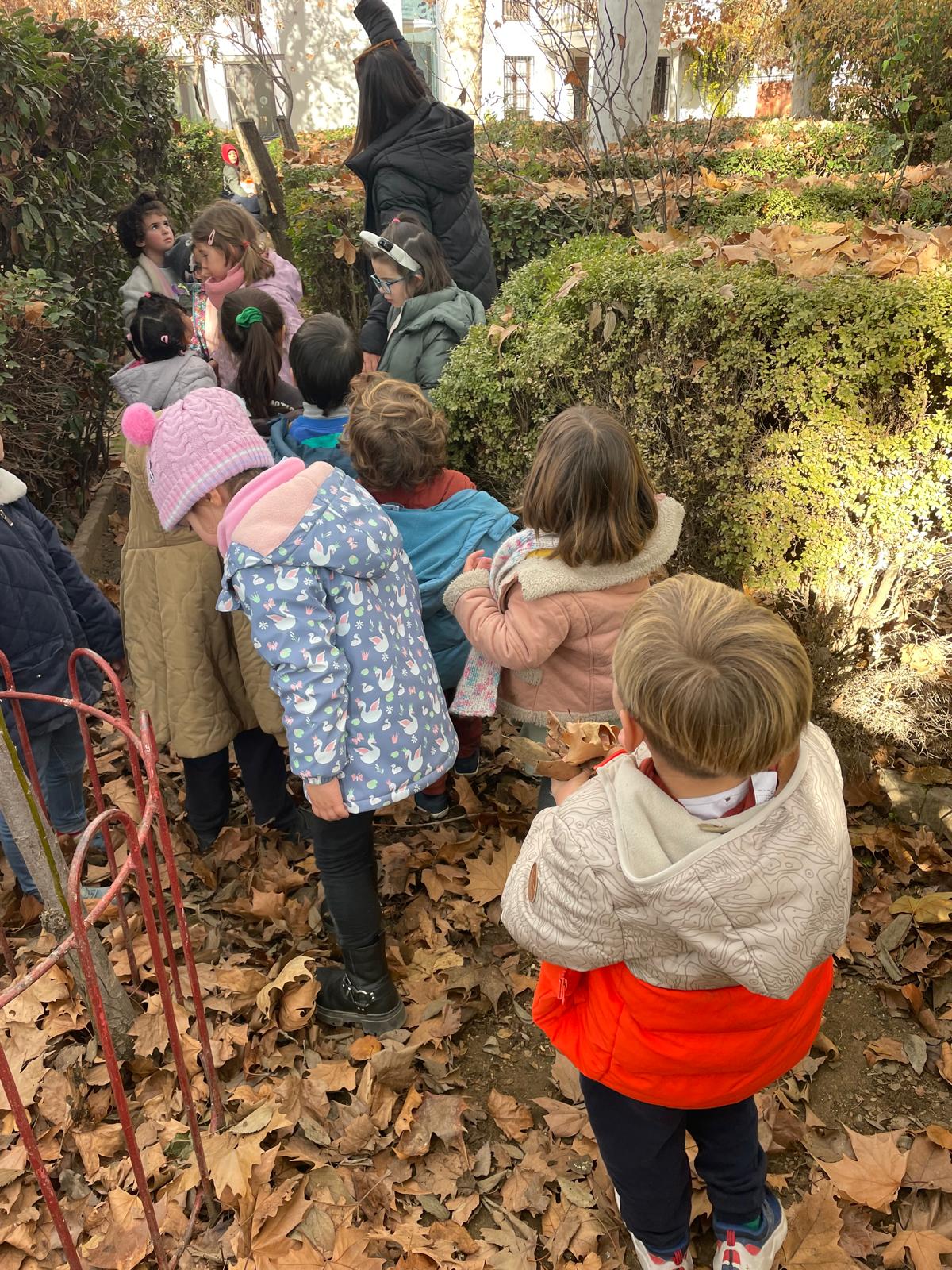 PHOTO-2025-01-19-17-38-40 5