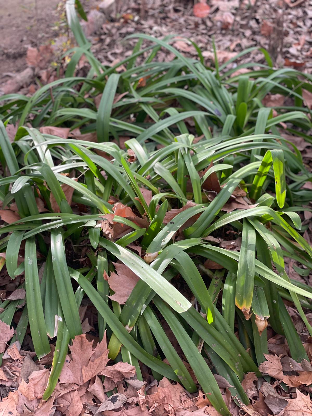 PHOTO-2025-01-19-17-38-40 7