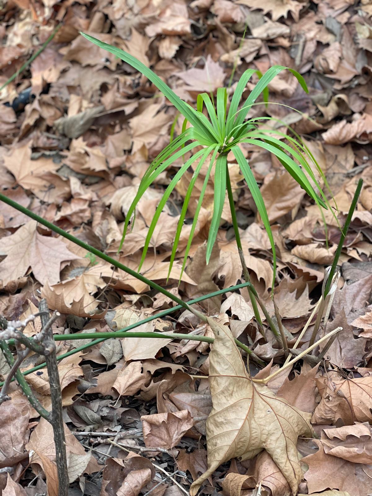 PHOTO-2025-01-19-17-38-40 8