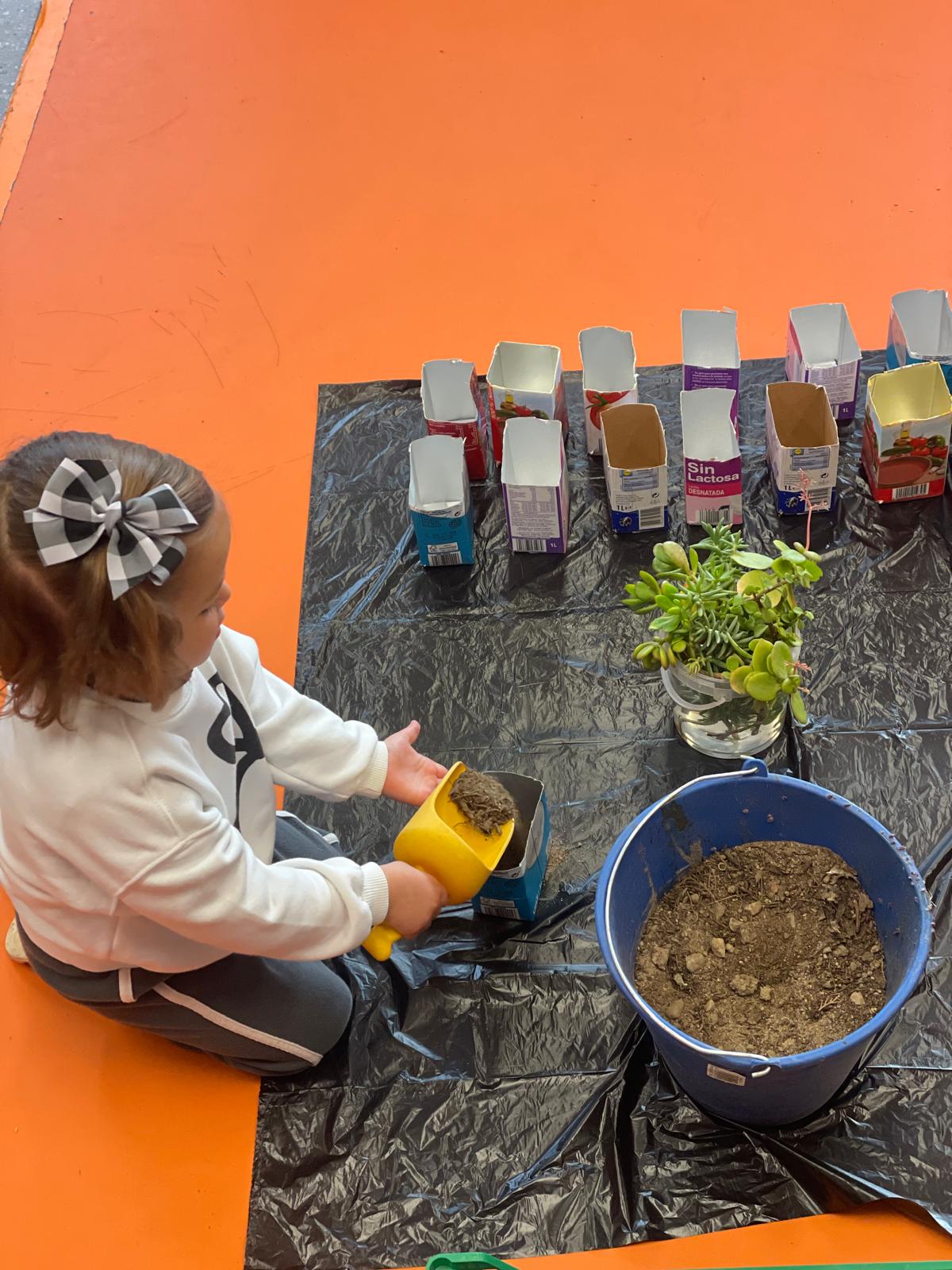 PHOTO-2025-01-22-18-59-51 10