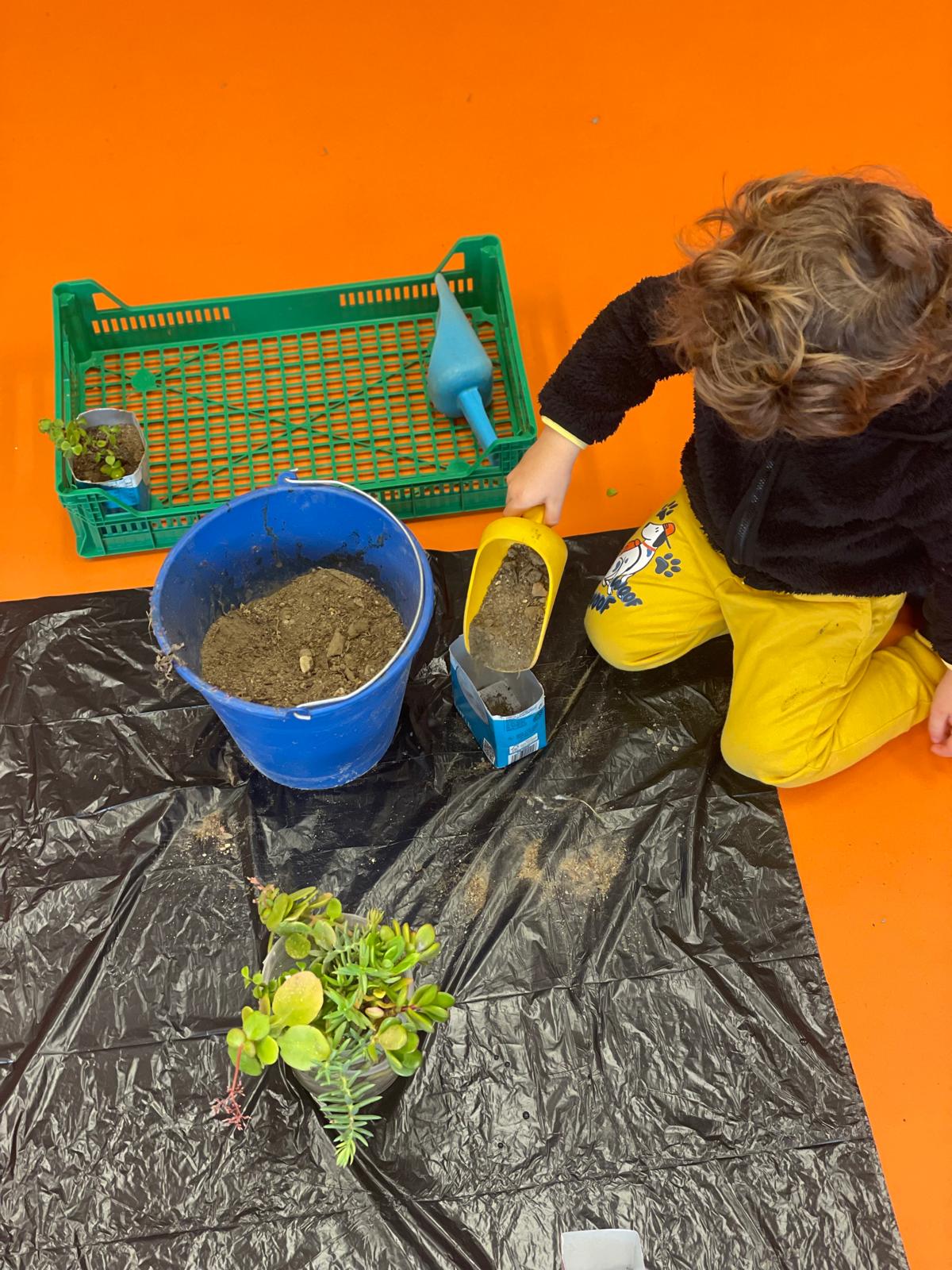 PHOTO-2025-01-22-18-59-51 11