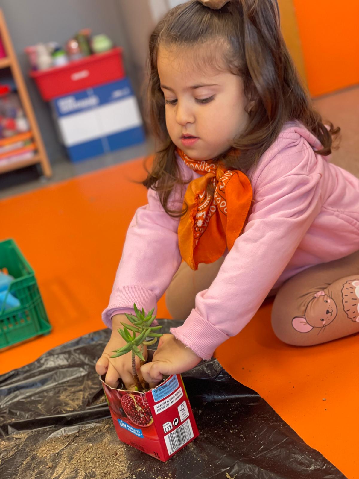 PHOTO-2025-01-22-18-59-51 12