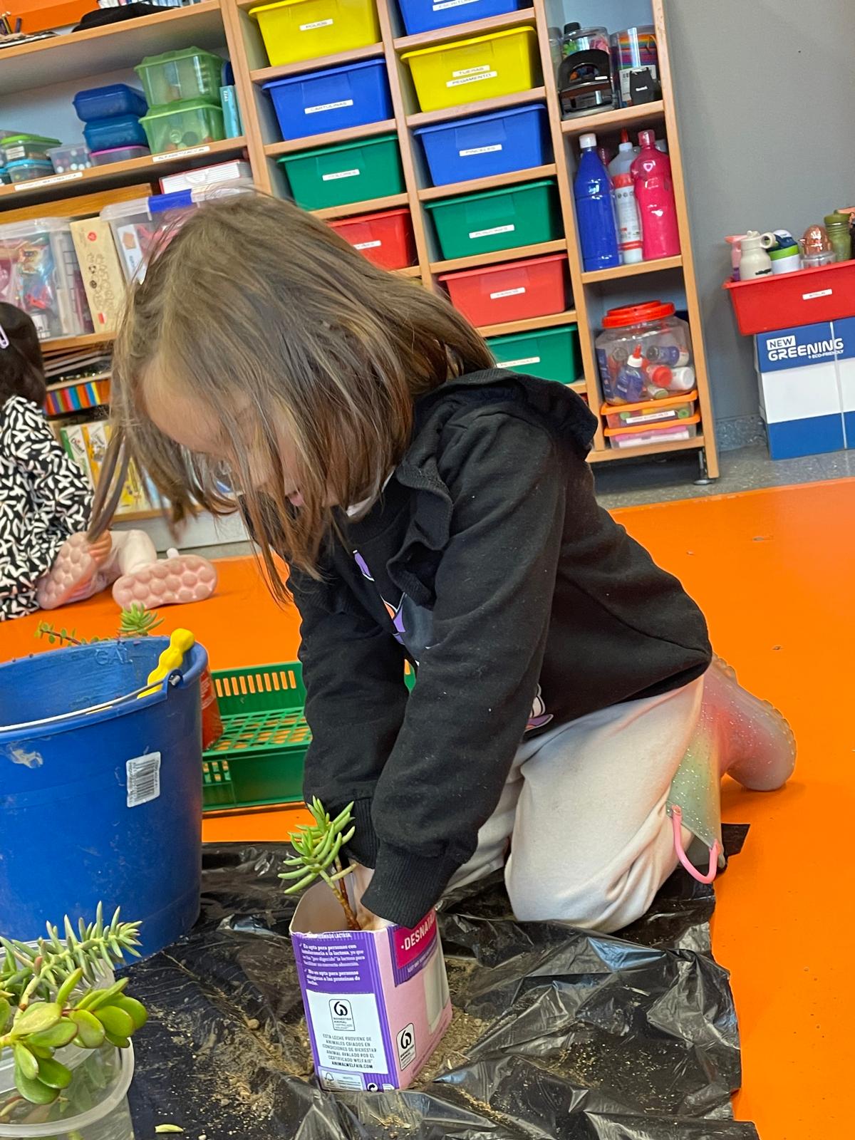 PHOTO-2025-01-22-18-59-51 13