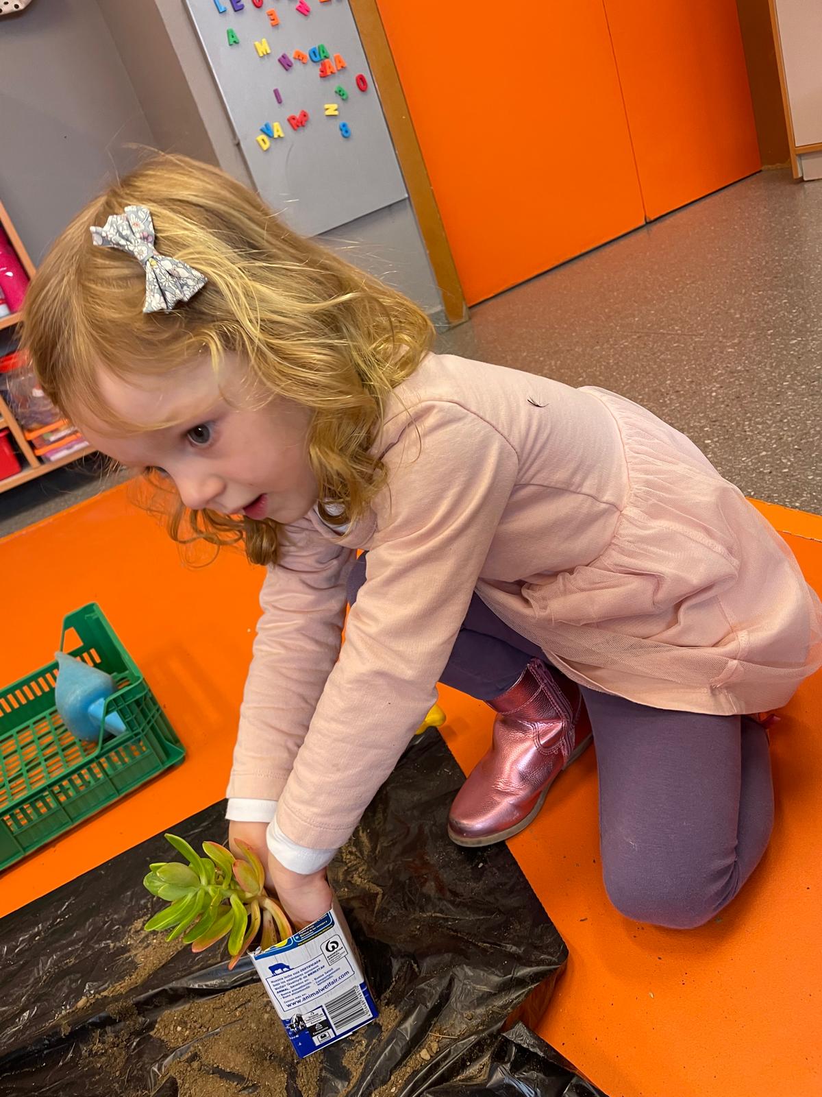 PHOTO-2025-01-22-18-59-51 17