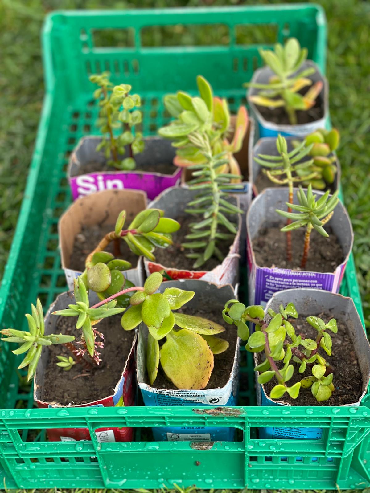 PHOTO-2025-01-22-18-59-51 25