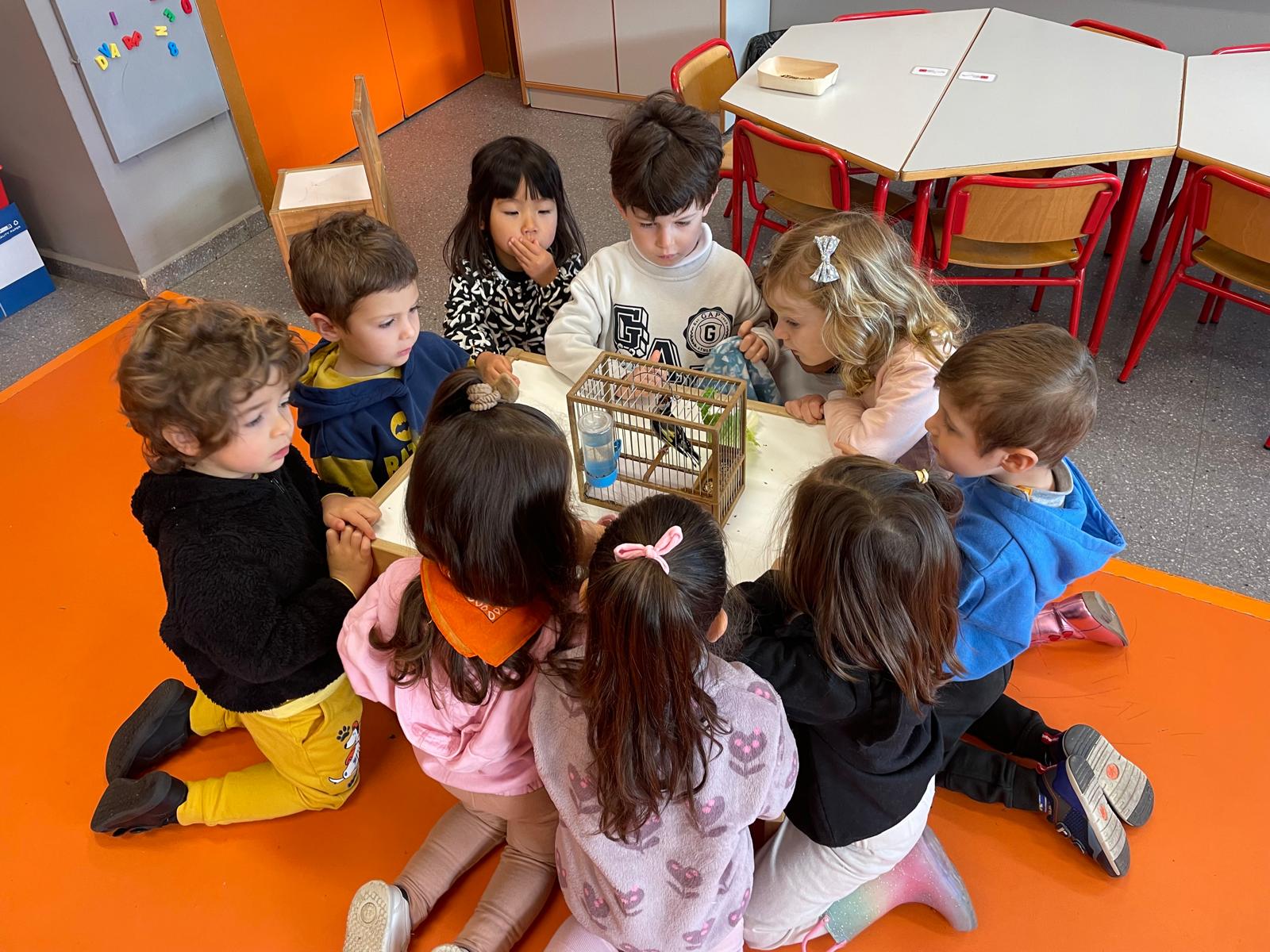 PHOTO-2025-01-22-18-59-51 8