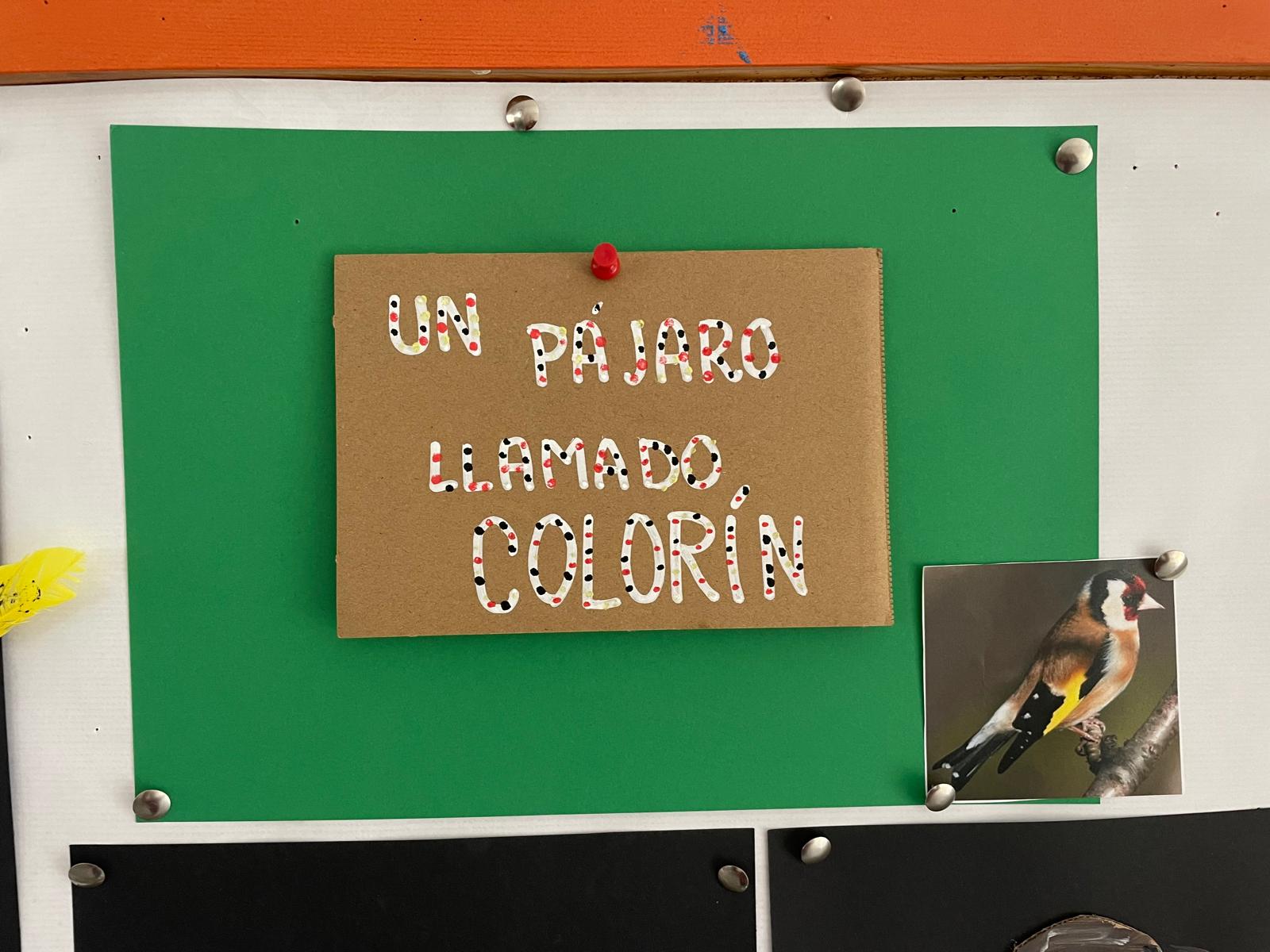 PHOTO-2025-01-22-19-29-31 24