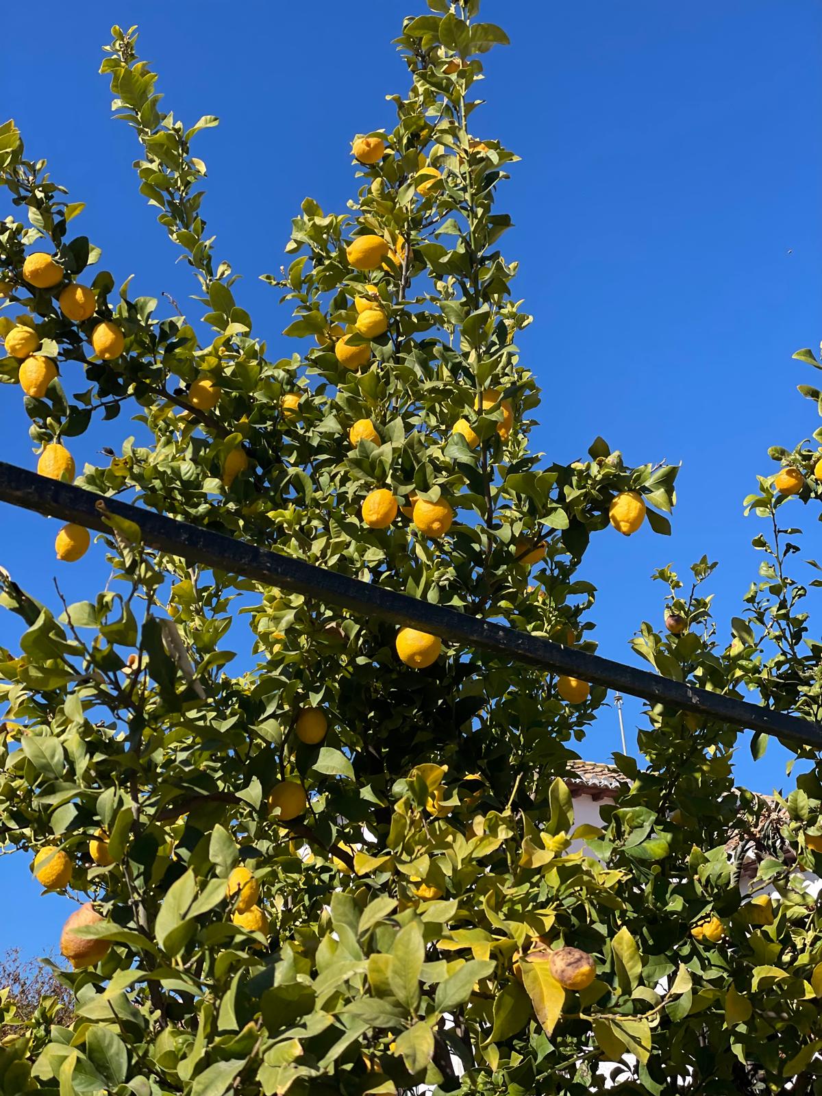 PHOTO-2025-02-14-18-52-27 2 PHOTO-2025-02-14-18-52-27 2