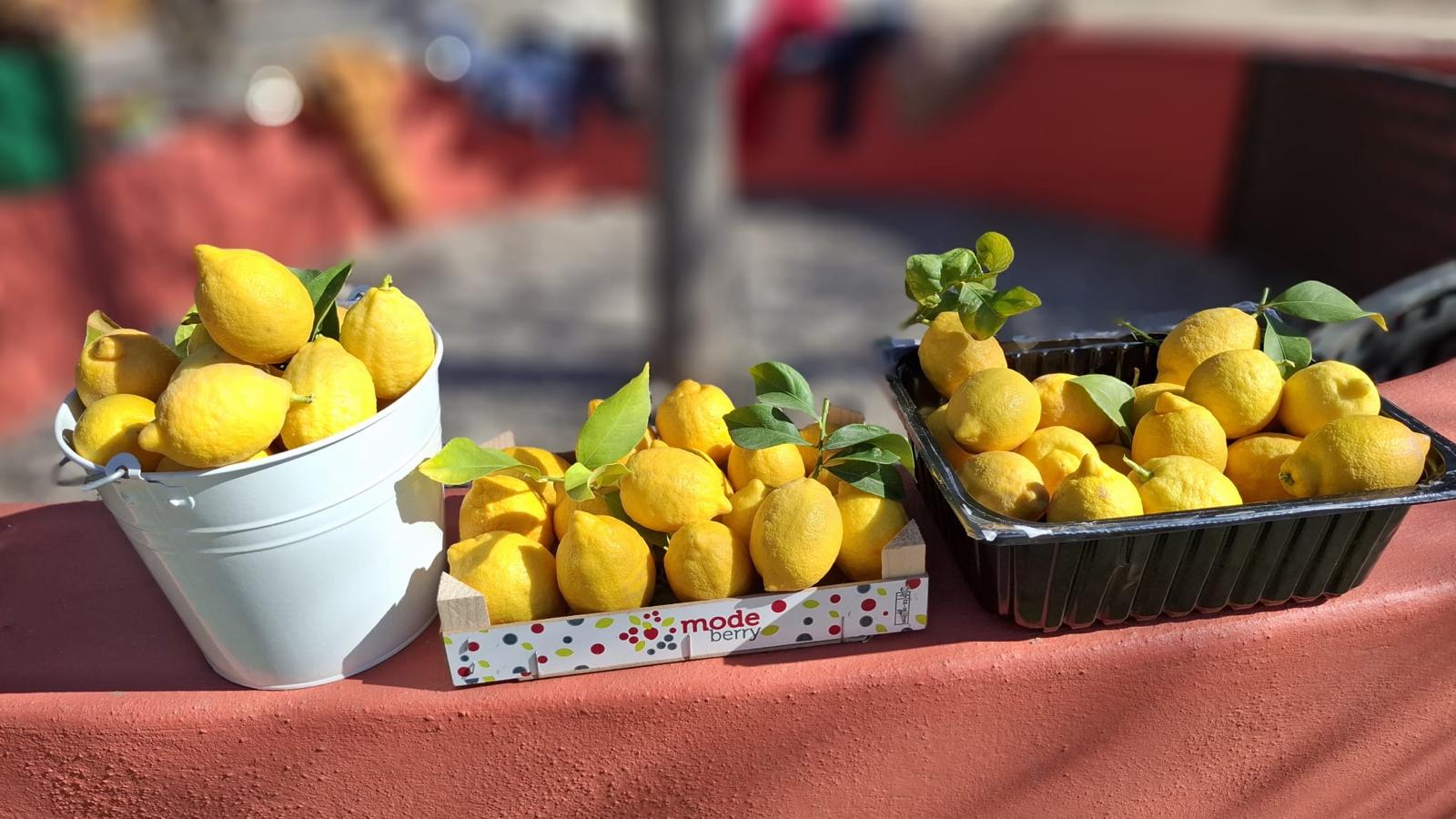 PHOTO-2025-02-14-18-52-27 3 PHOTO-2025-02-14-18-52-27 3