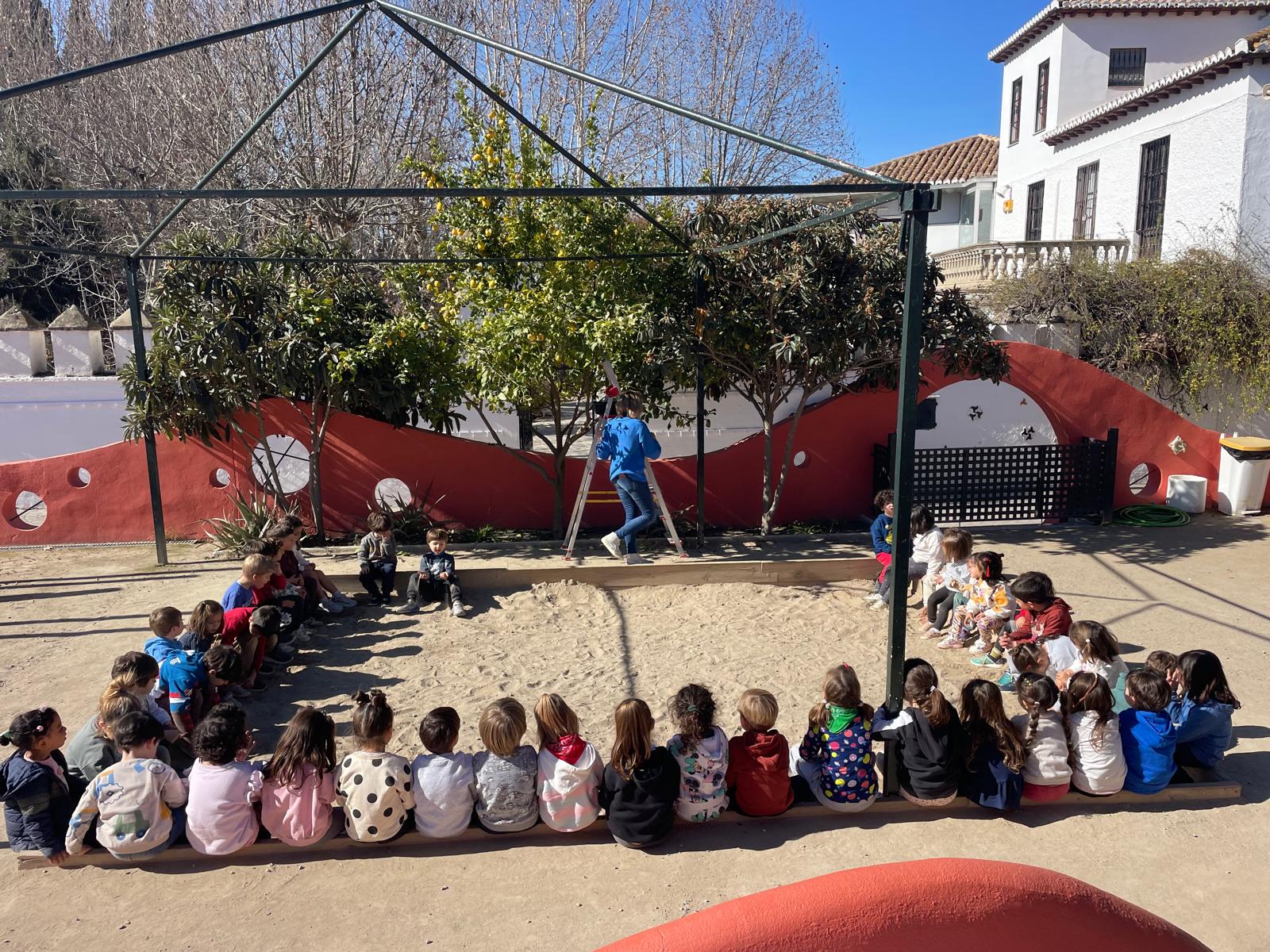 PHOTO-2025-02-14-18-52-27 PHOTO-2025-02-14-18-52-27