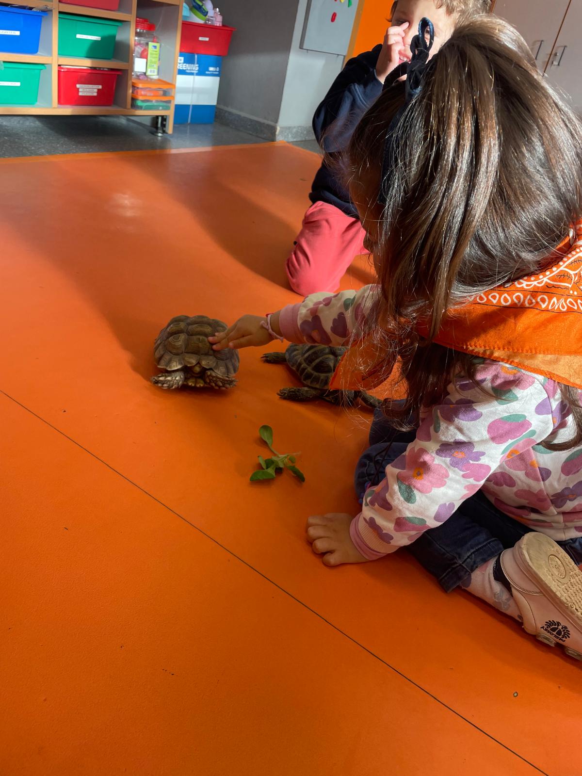 PHOTO-2025-02-17-11-48-08 10 PHOTO-2025-02-17-11-48-08 10