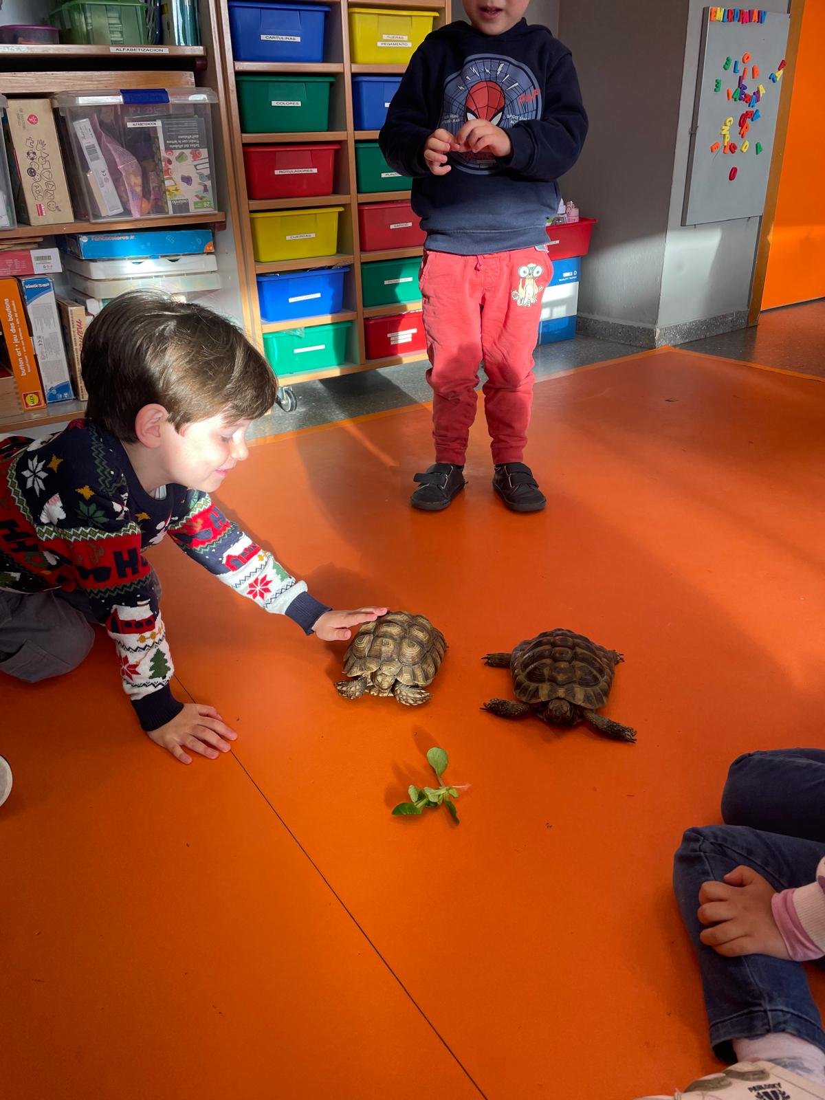 PHOTO-2025-02-17-11-48-08 11