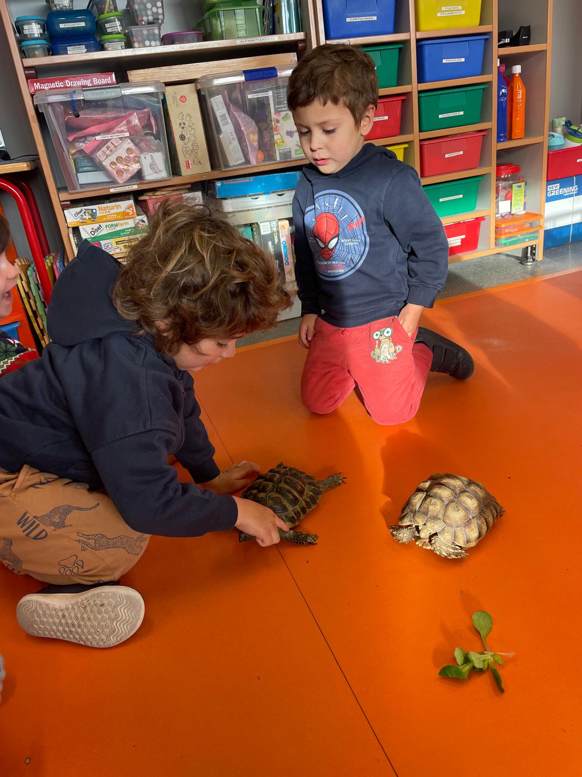 PHOTO-2025-02-17-11-48-08 14