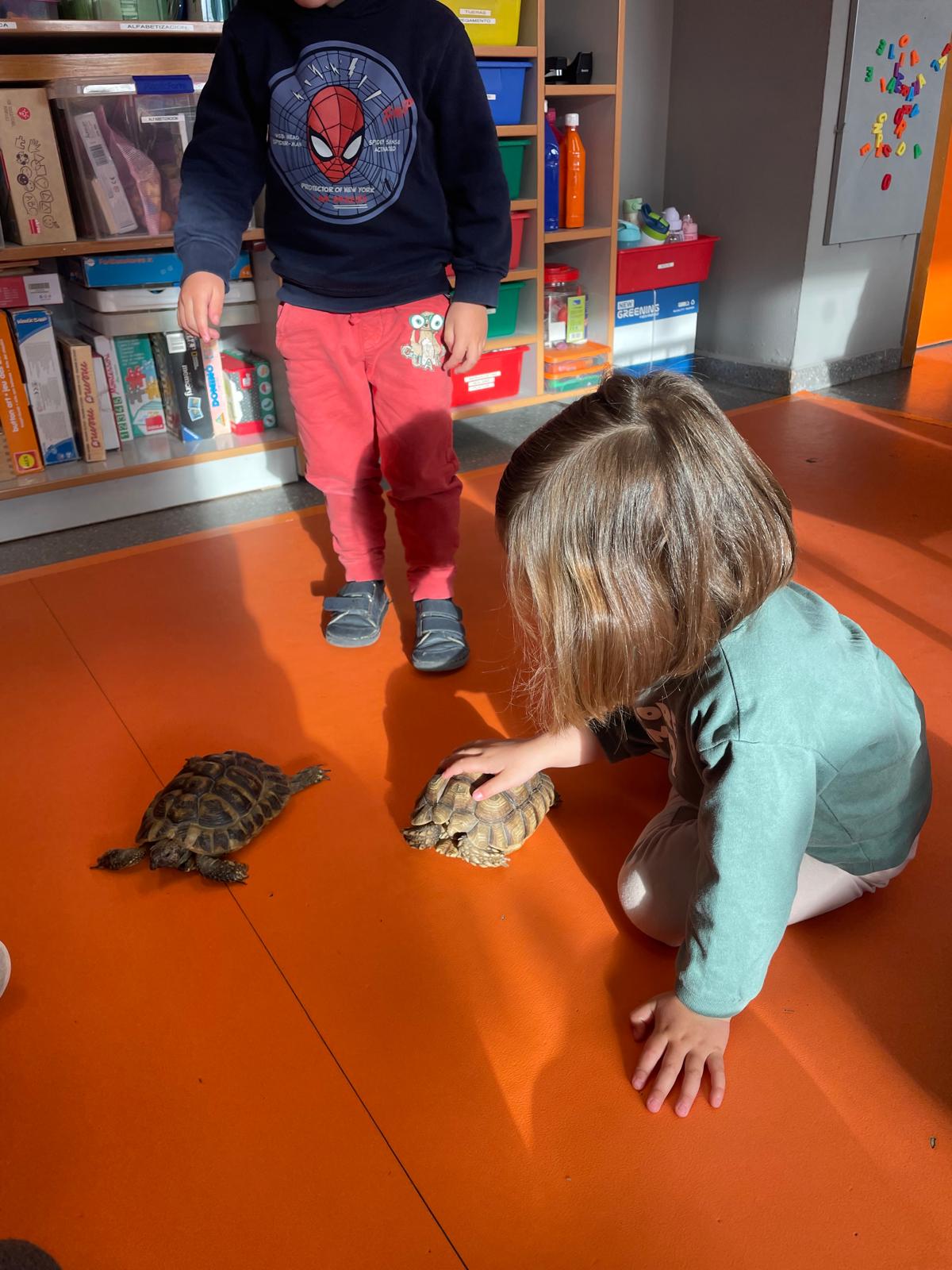 PHOTO-2025-02-17-11-48-08 15 PHOTO-2025-02-17-11-48-08 15