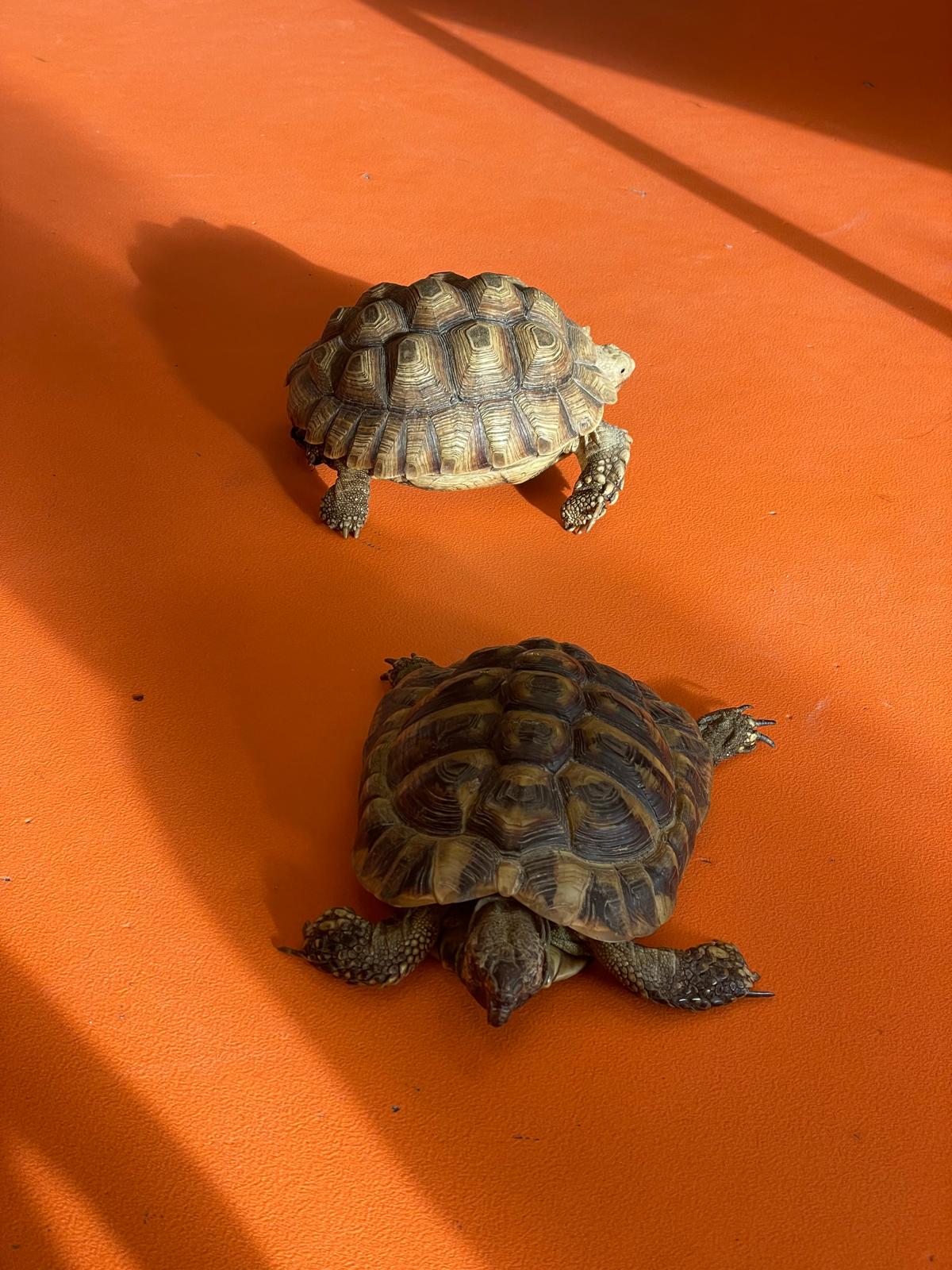 PHOTO-2025-02-17-11-48-08 16 PHOTO-2025-02-17-11-48-08 16