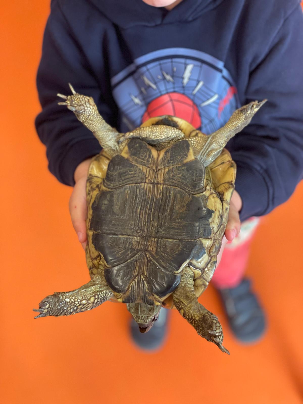 PHOTO-2025-02-17-11-48-08 4