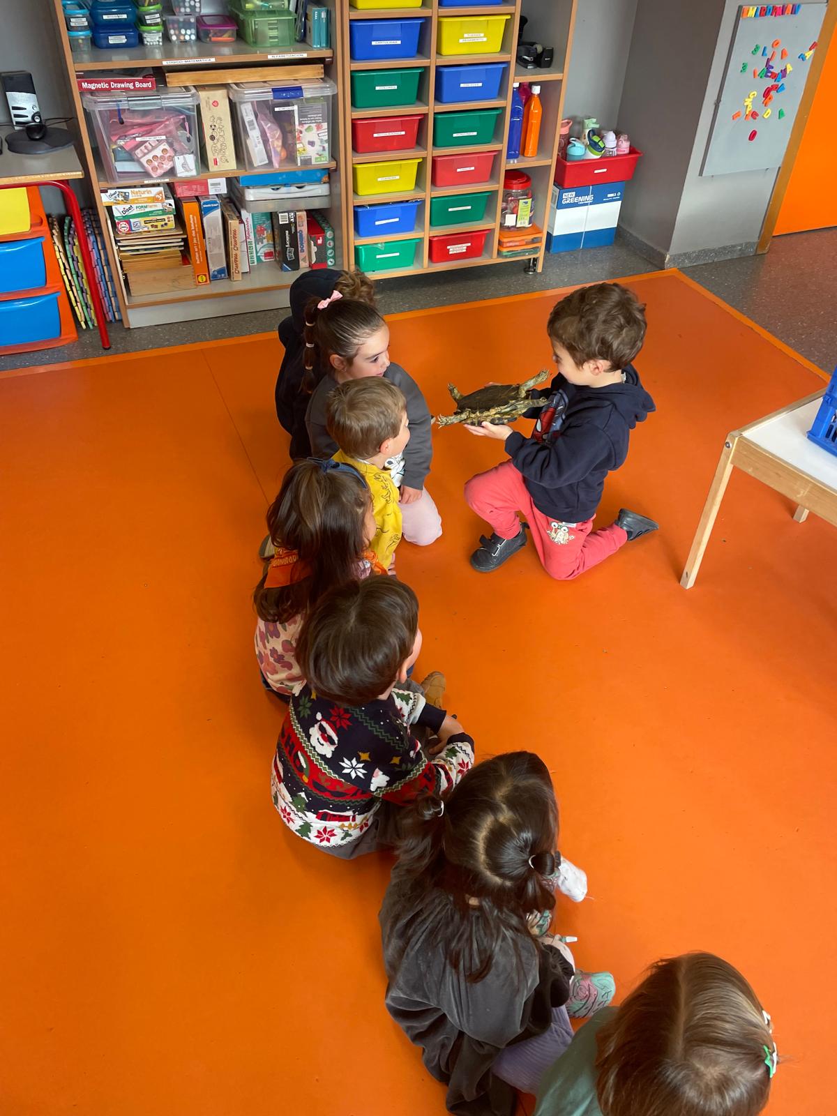 PHOTO-2025-02-17-11-48-08 5 PHOTO-2025-02-17-11-48-08 5