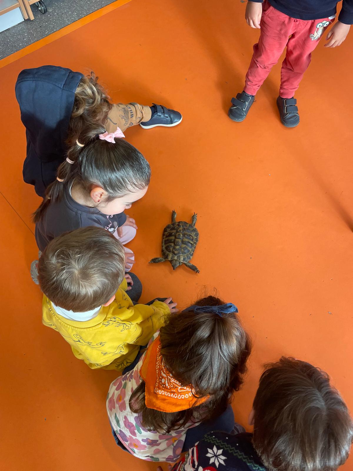 PHOTO-2025-02-17-11-48-08 6 PHOTO-2025-02-17-11-48-08 6