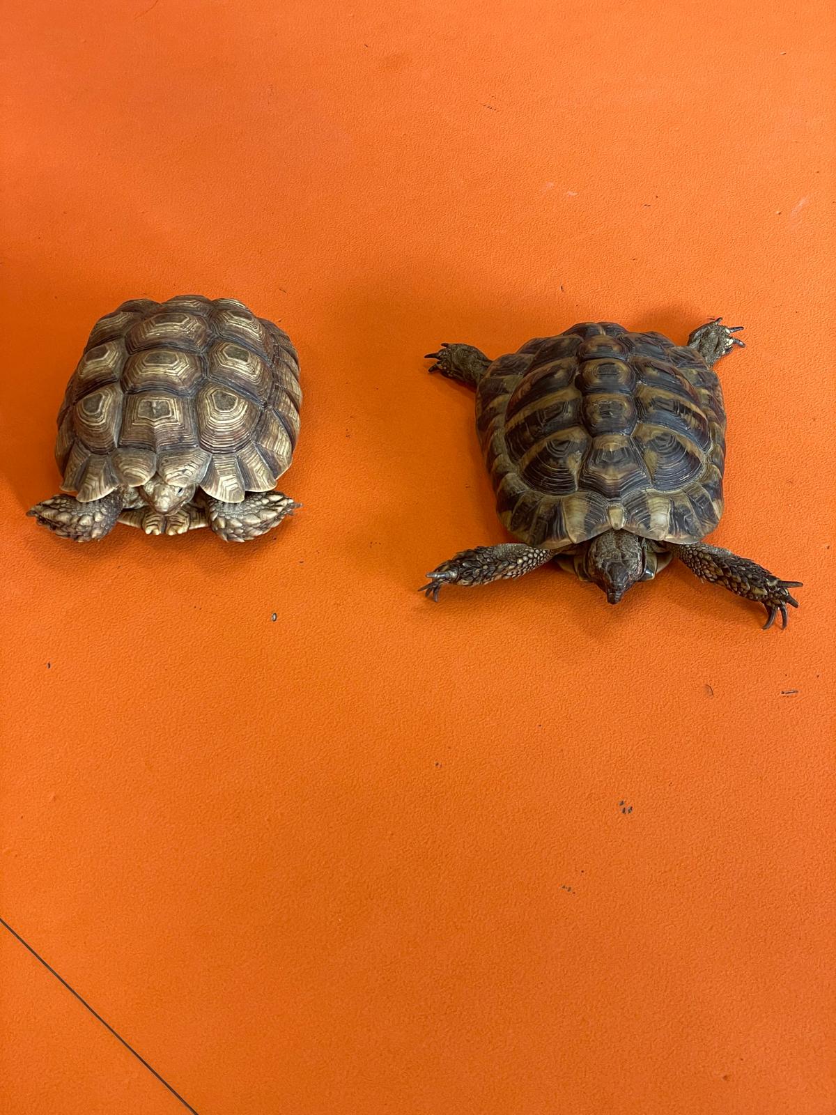 PHOTO-2025-02-17-11-48-08 7