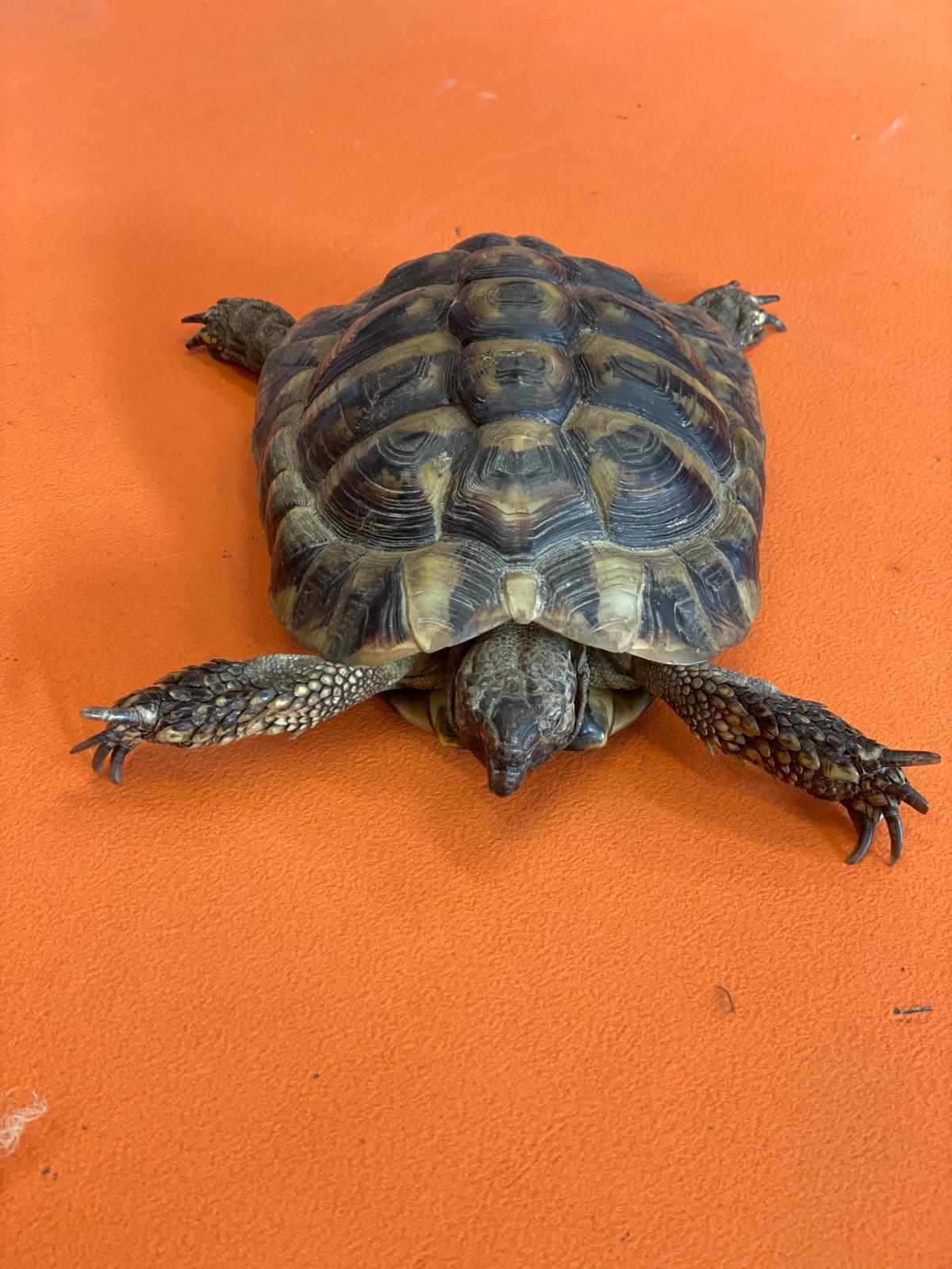 PHOTO-2025-02-17-11-48-08 8 PHOTO-2025-02-17-11-48-08 8