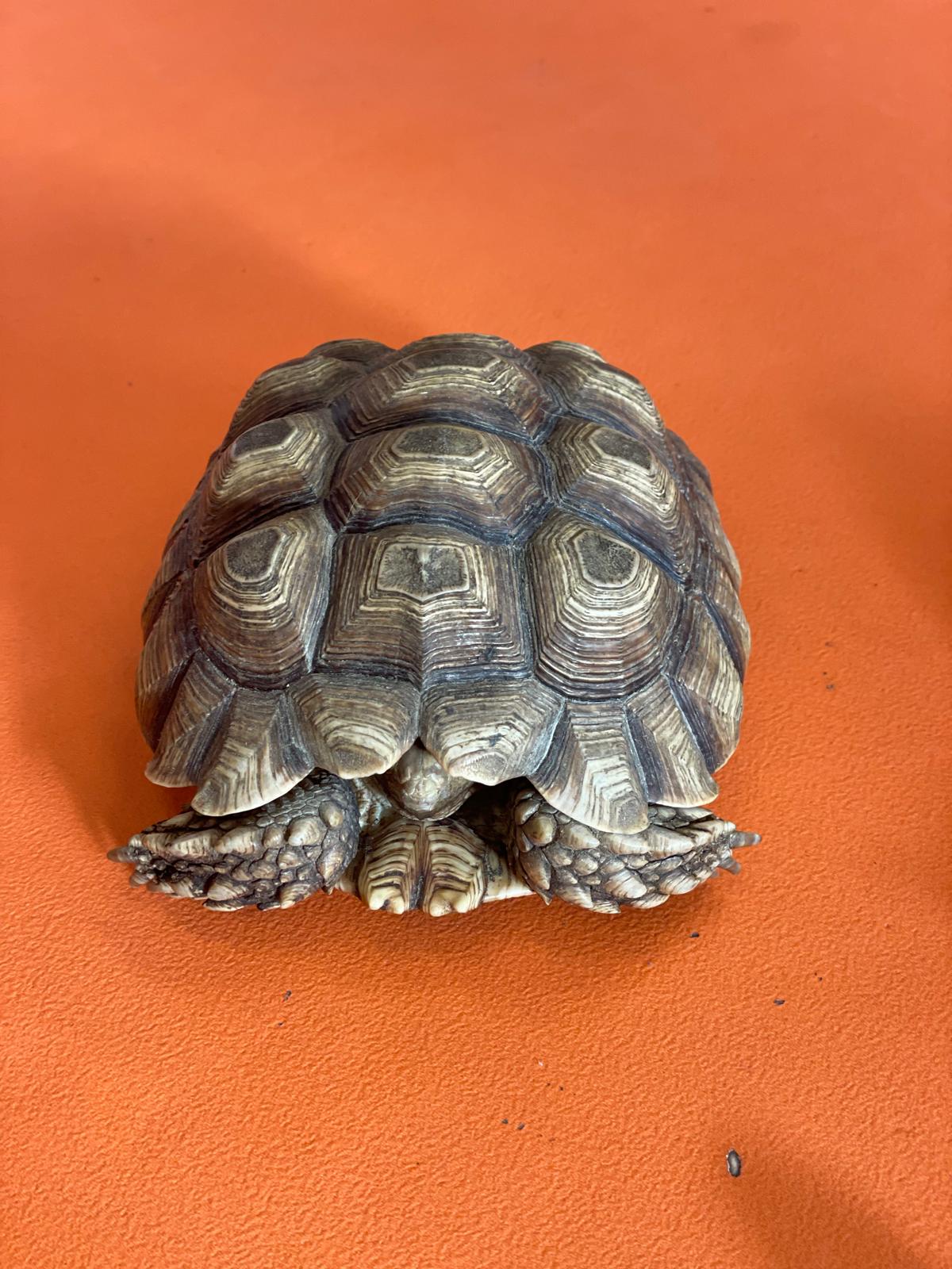 PHOTO-2025-02-17-11-48-08 9 PHOTO-2025-02-17-11-48-08 9