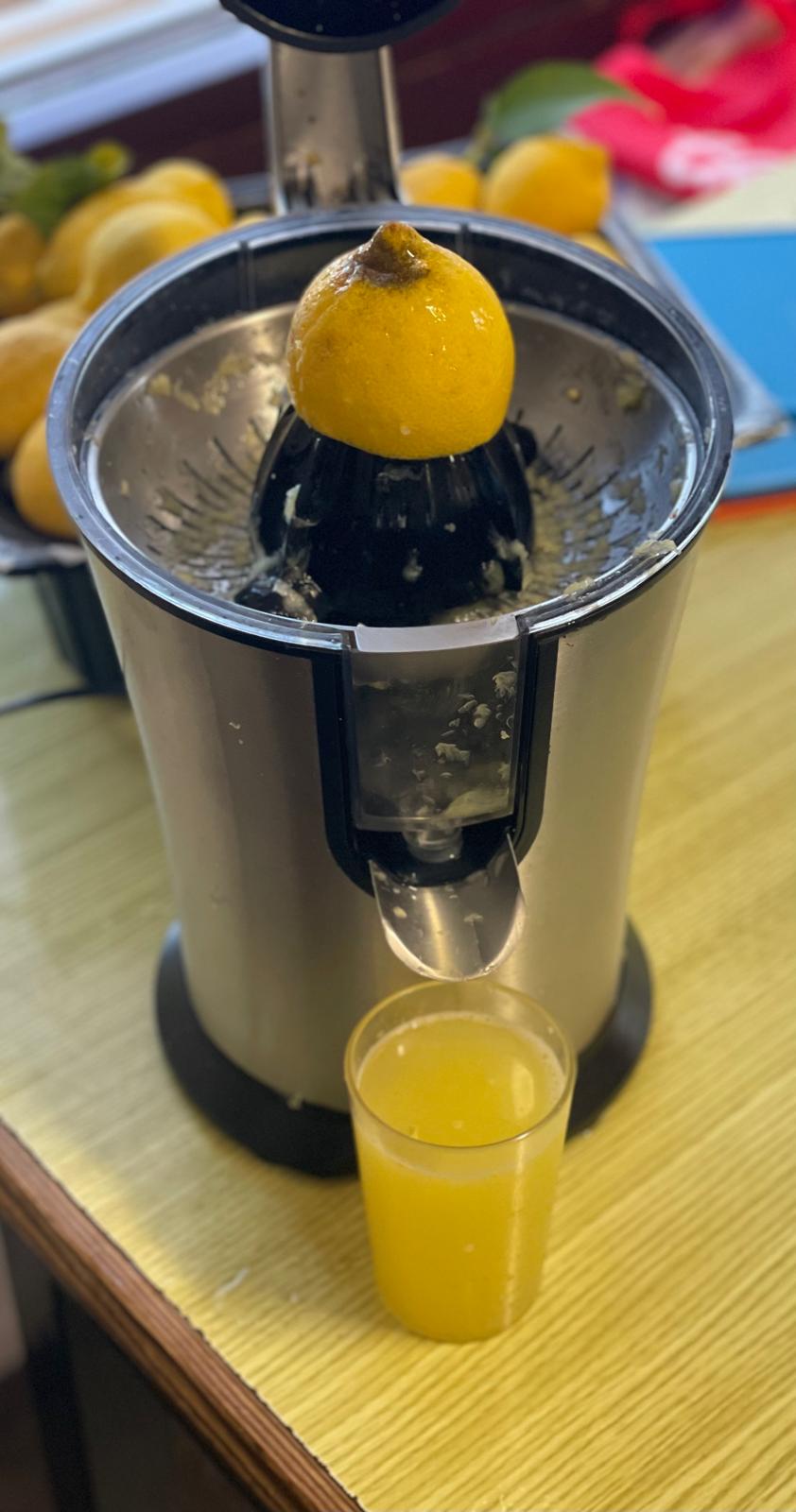 PHOTO-2025-02-20-11-39-37 11 PHOTO-2025-02-20-11-39-37 11