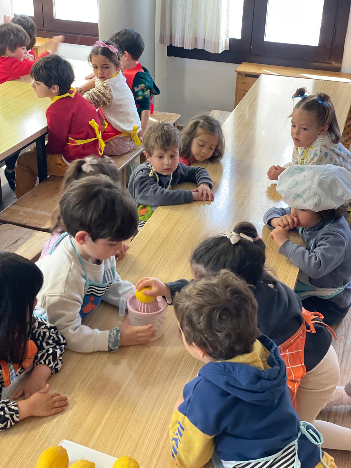 PHOTO-2025-02-20-11-39-37 12 PHOTO-2025-02-20-11-39-37 12