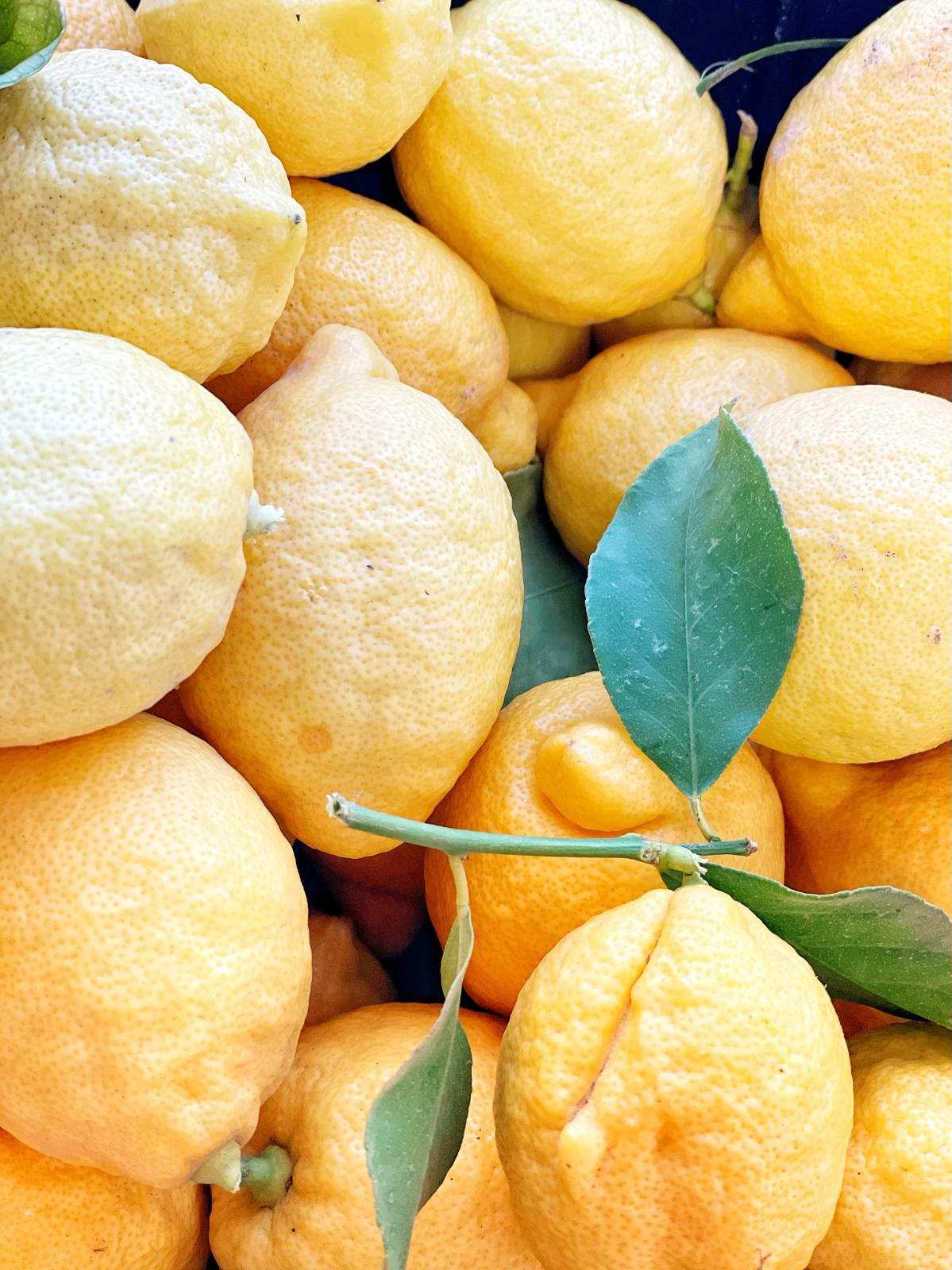 PHOTO-2025-02-20-11-39-37 8 PHOTO-2025-02-20-11-39-37 8