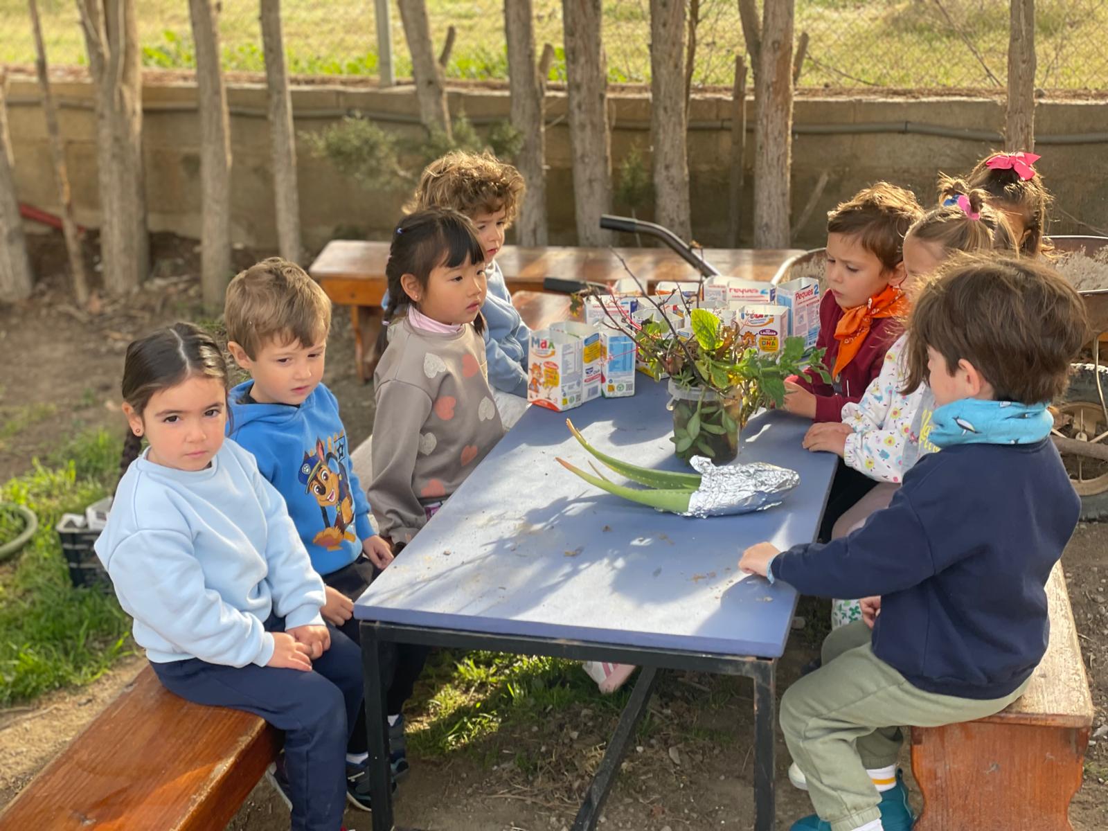 PHOTO-2025-02-25-13-46-58 11 PHOTO-2025-02-25-13-46-58 11