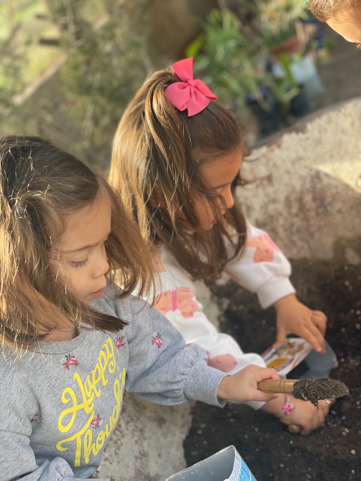 PHOTO-2025-02-25-13-46-58 15 PHOTO-2025-02-25-13-46-58 15