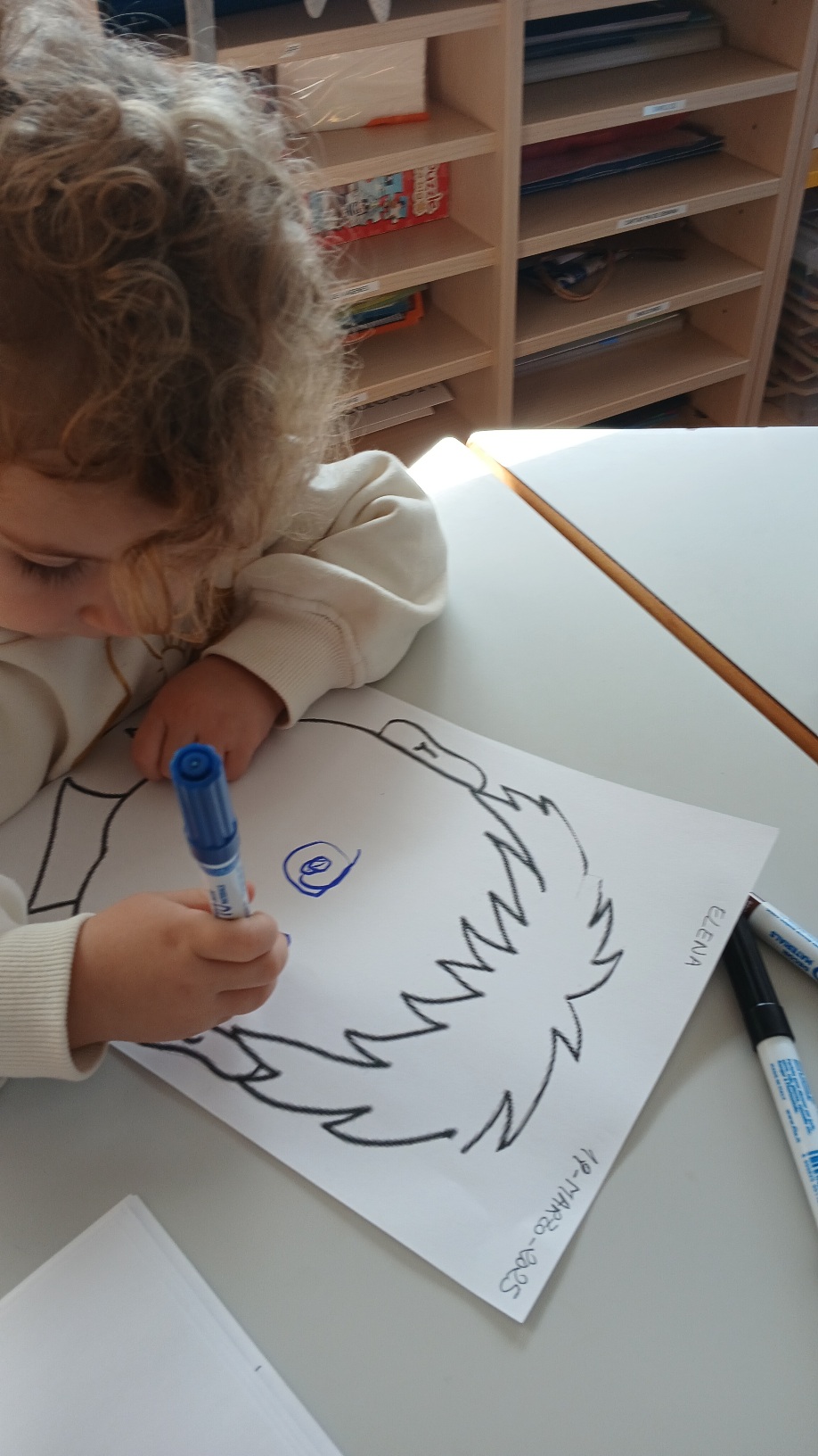 20250319_101501 20250319_101501