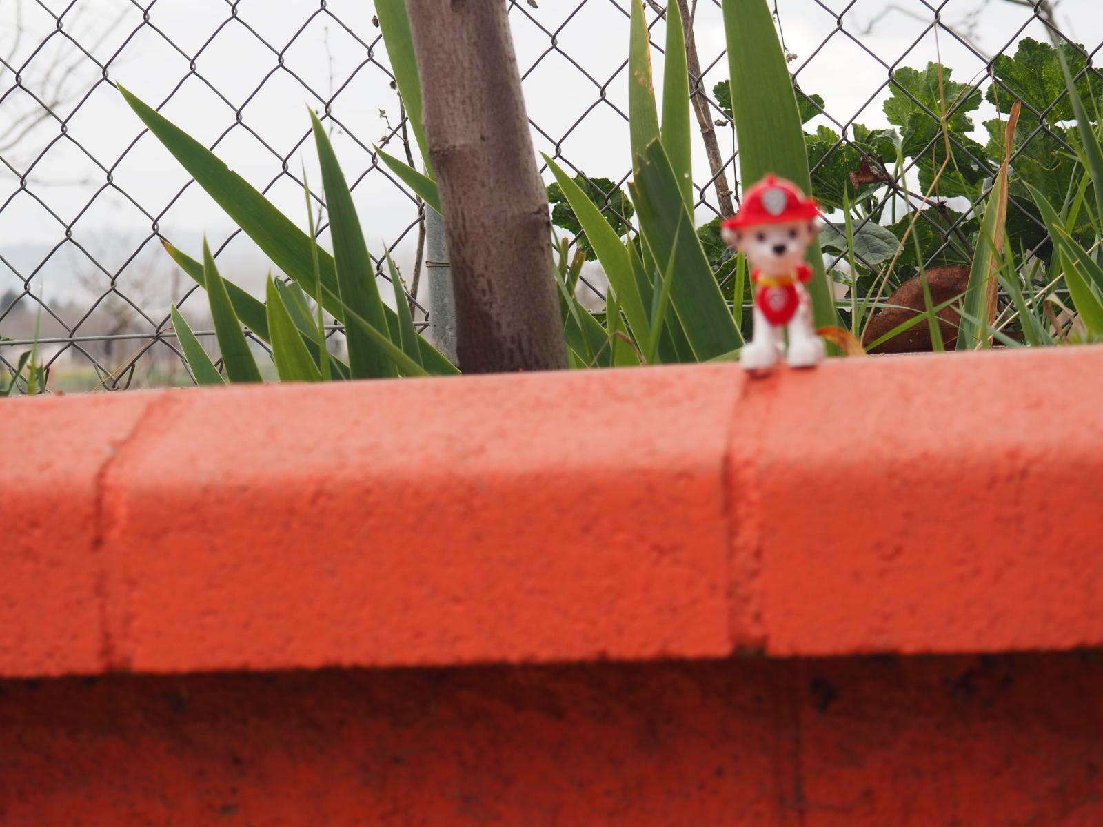 PHOTO-2025-03-04-11-32-08 48