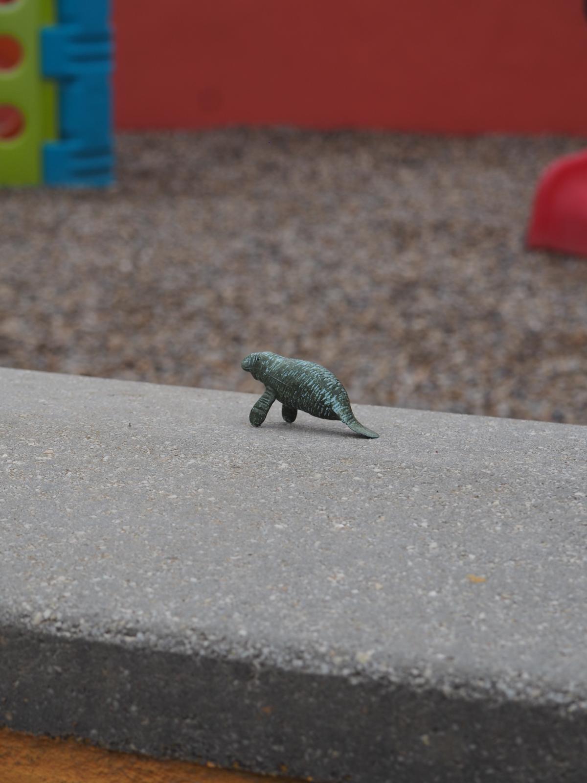 PHOTO-2025-03-04-11-32-08 52