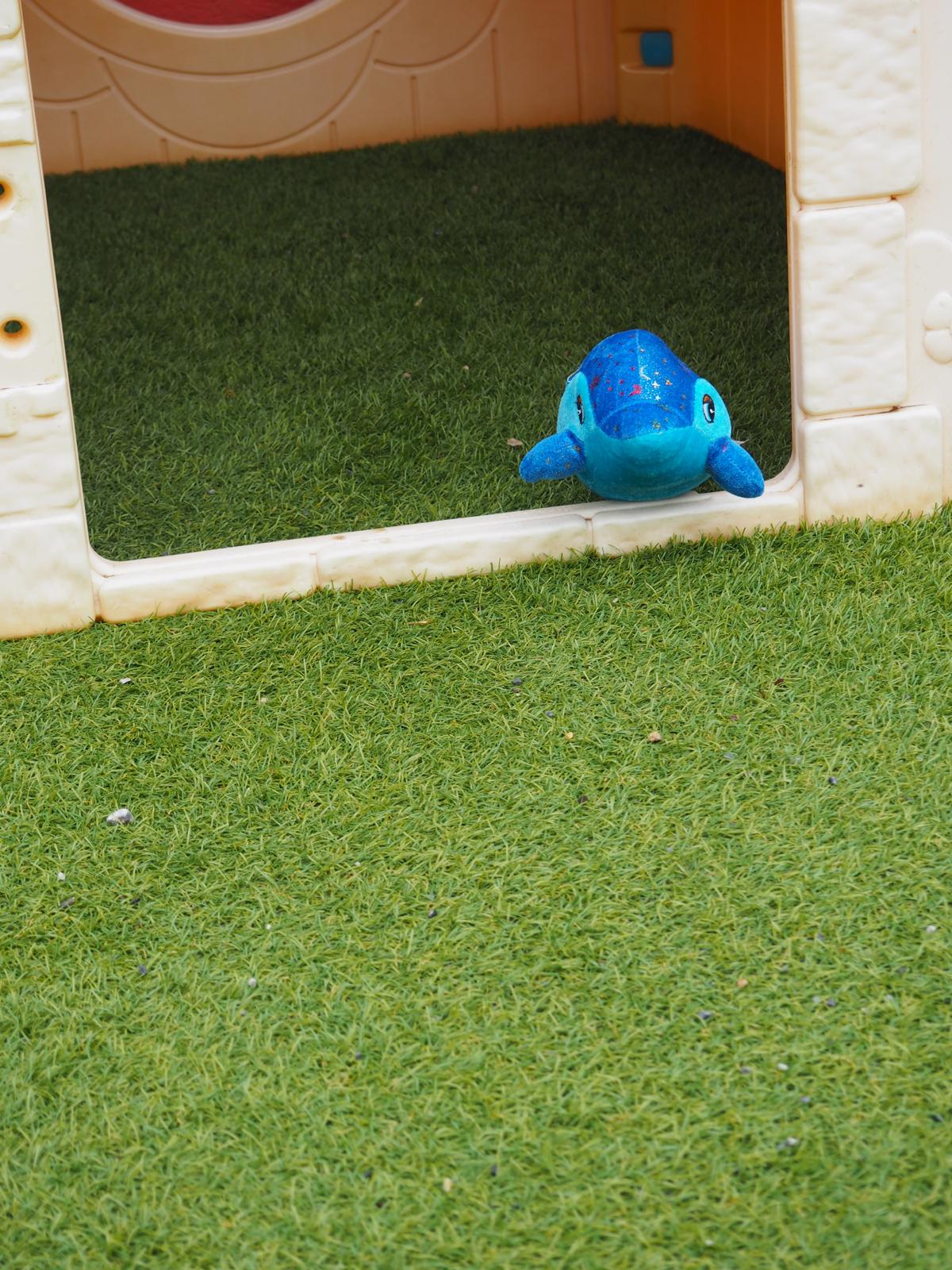 PHOTO-2025-03-04-11-32-08 57 PHOTO-2025-03-04-11-32-08 57