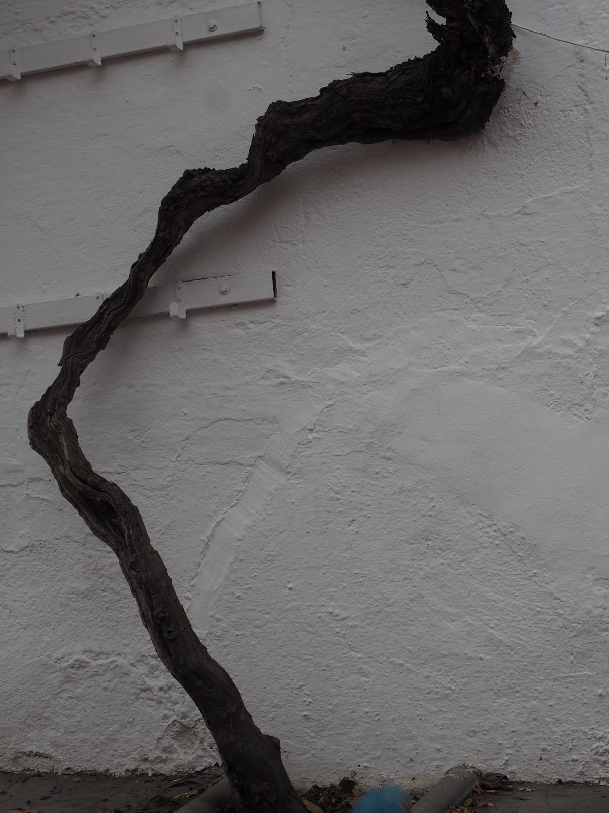 PHOTO-2025-03-04-11-32-08 69 PHOTO-2025-03-04-11-32-08 69