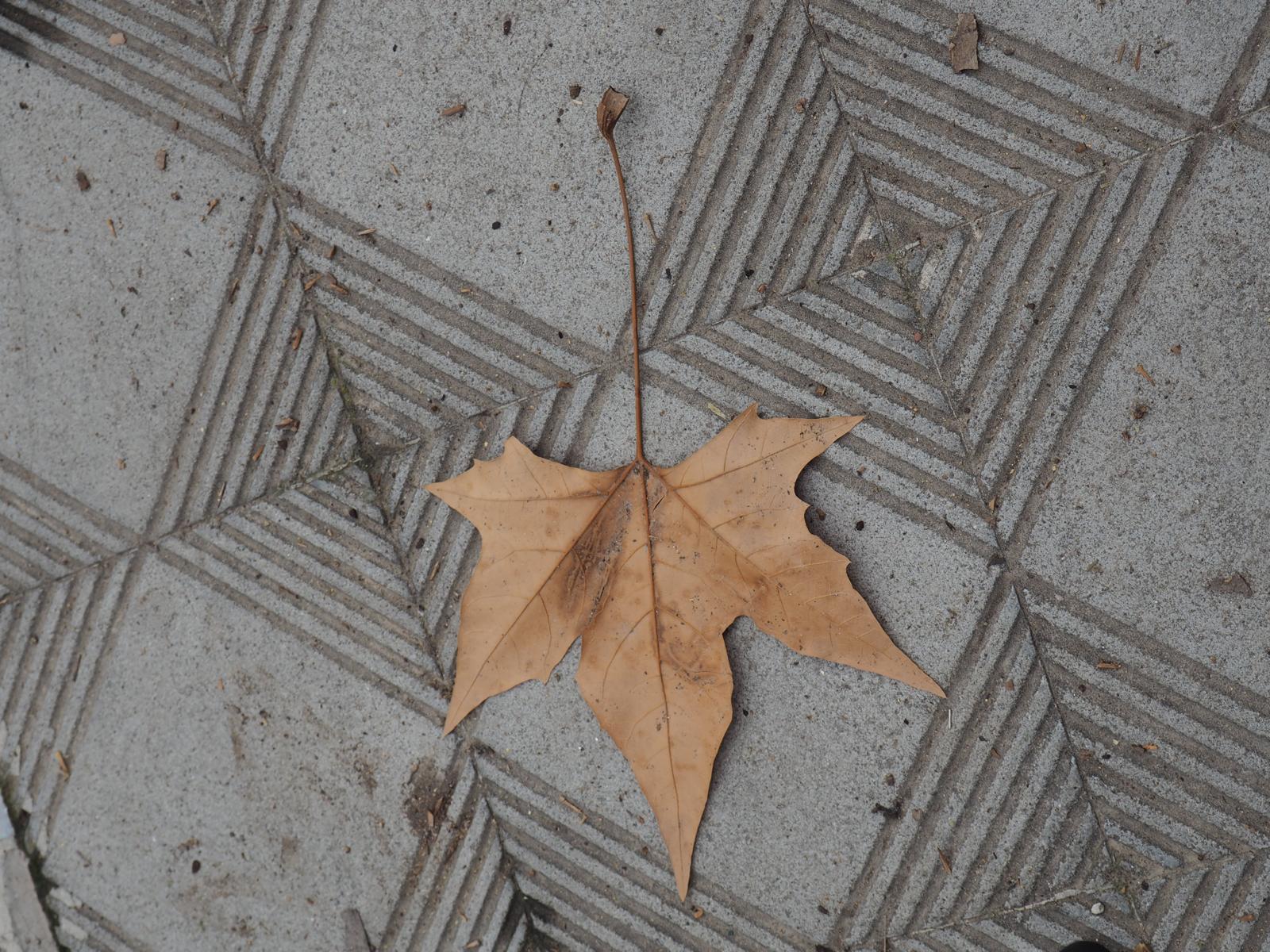 PHOTO-2025-03-04-11-32-08 71 PHOTO-2025-03-04-11-32-08 71