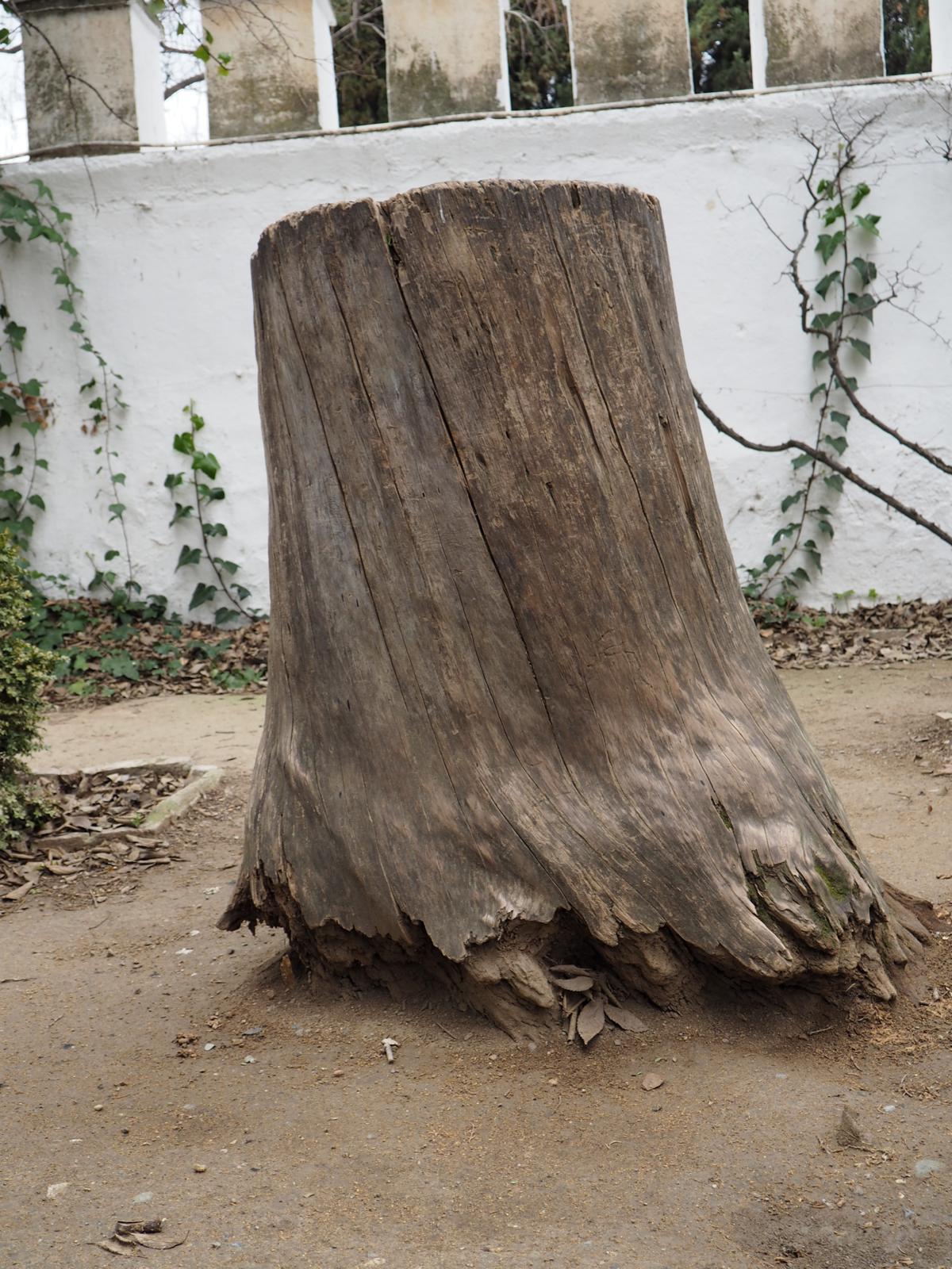 PHOTO-2025-03-04-11-32-08 72