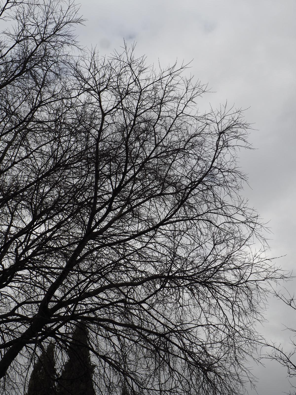 PHOTO-2025-03-04-11-32-08 75