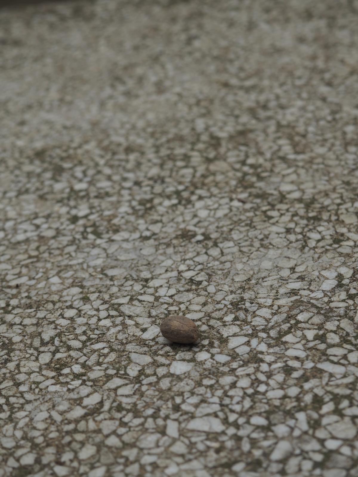 PHOTO-2025-03-04-11-32-08 76 PHOTO-2025-03-04-11-32-08 76