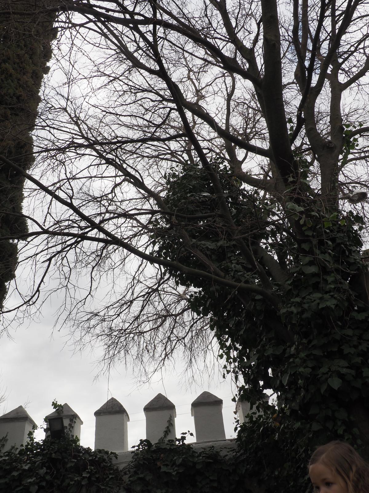 PHOTO-2025-03-04-11-32-08 77