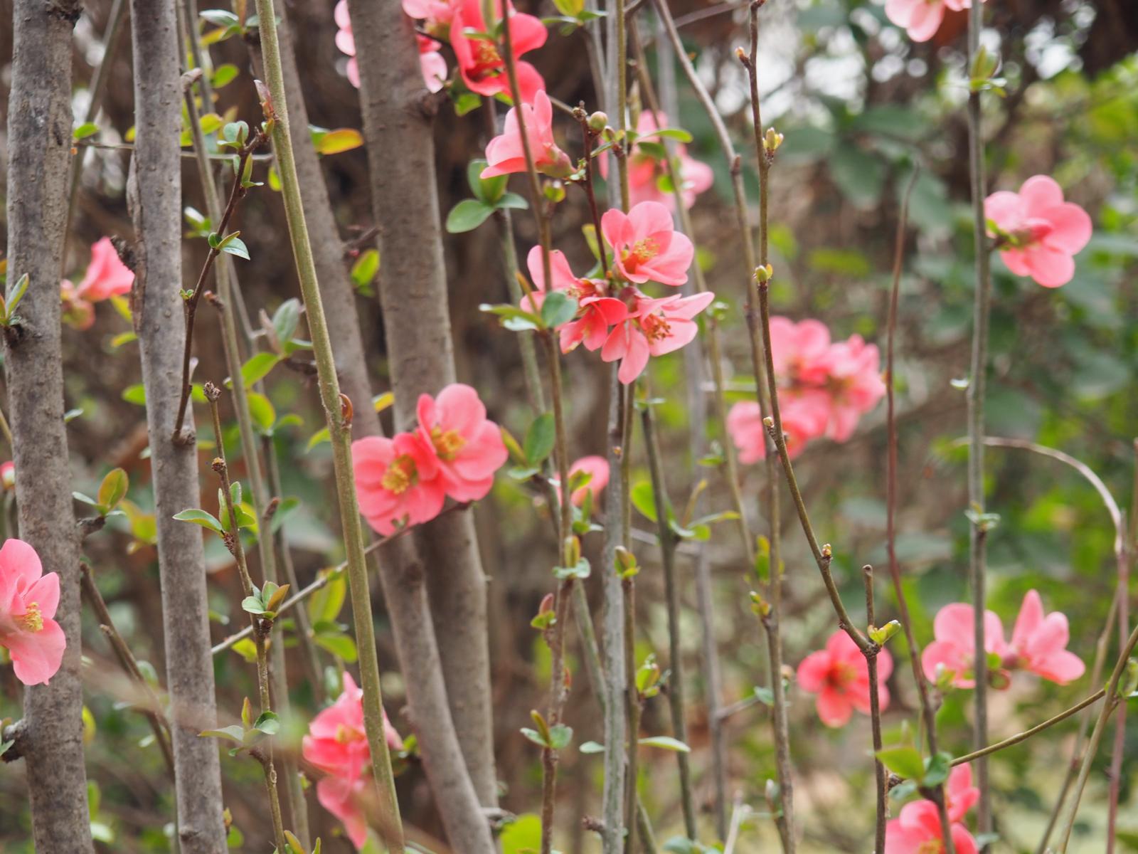 PHOTO-2025-03-04-11-32-08 80