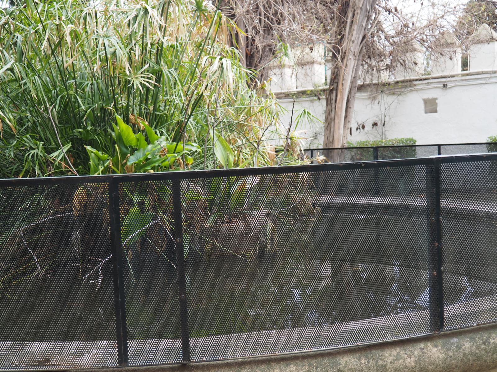 PHOTO-2025-03-04-11-32-08 82