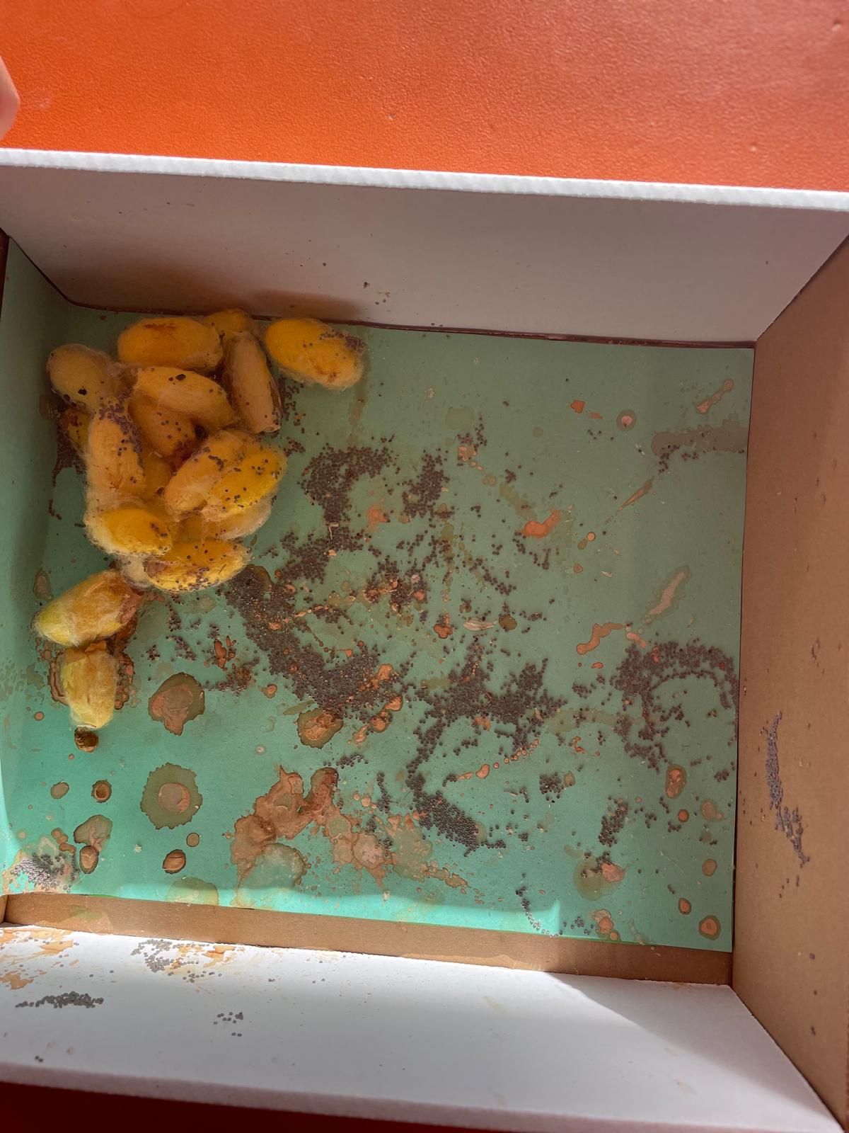 PHOTO-2025-03-06-22-45-37 11 PHOTO-2025-03-06-22-45-37 11