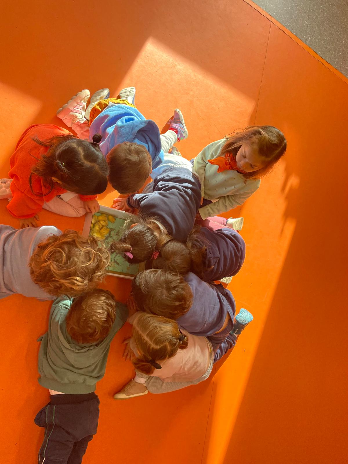 PHOTO-2025-03-06-22-45-37 4 PHOTO-2025-03-06-22-45-37 4