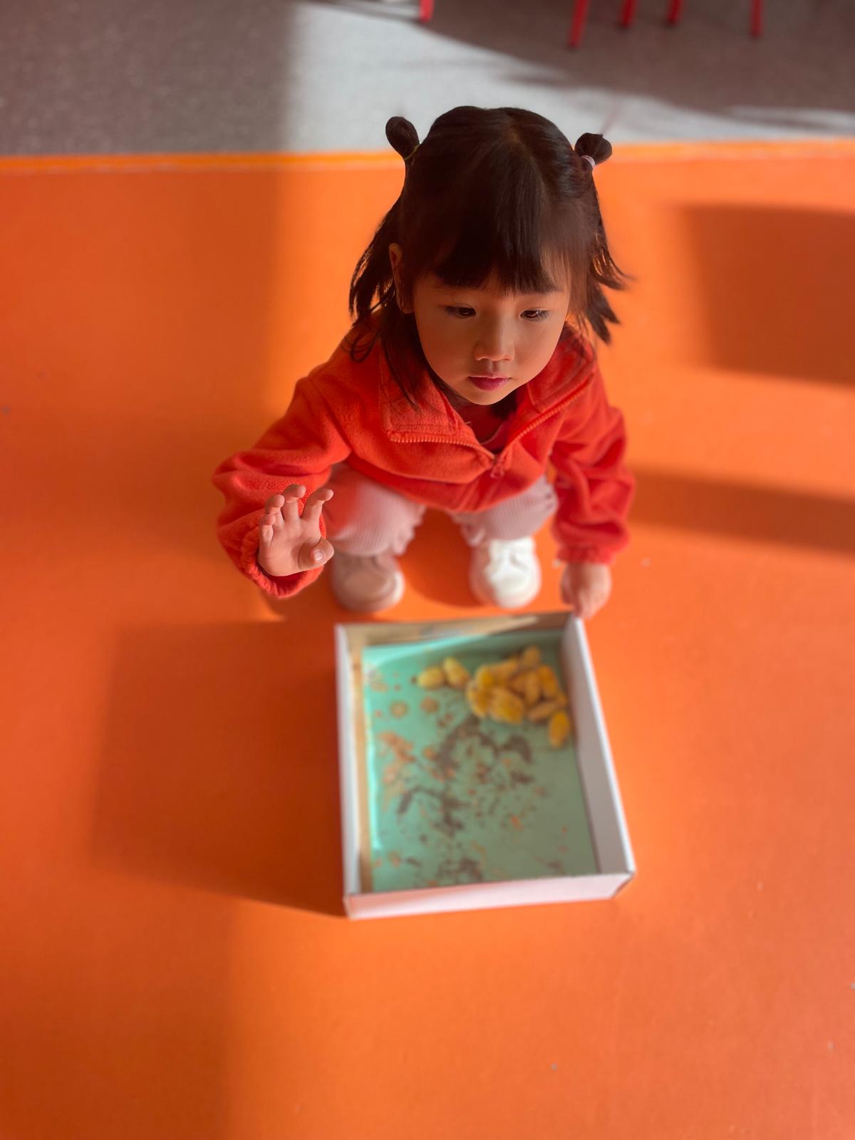 PHOTO-2025-03-06-22-45-37 PHOTO-2025-03-06-22-45-37