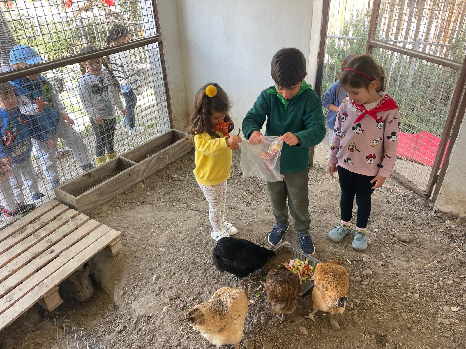 PHOTO-2025-03-06-22-47-25 13