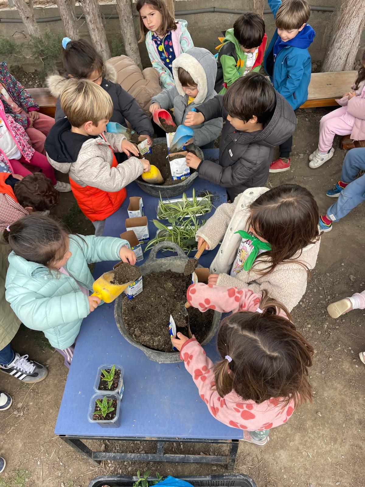 PHOTO-2025-03-07-19-46-11 3 PHOTO-2025-03-07-19-46-11 3