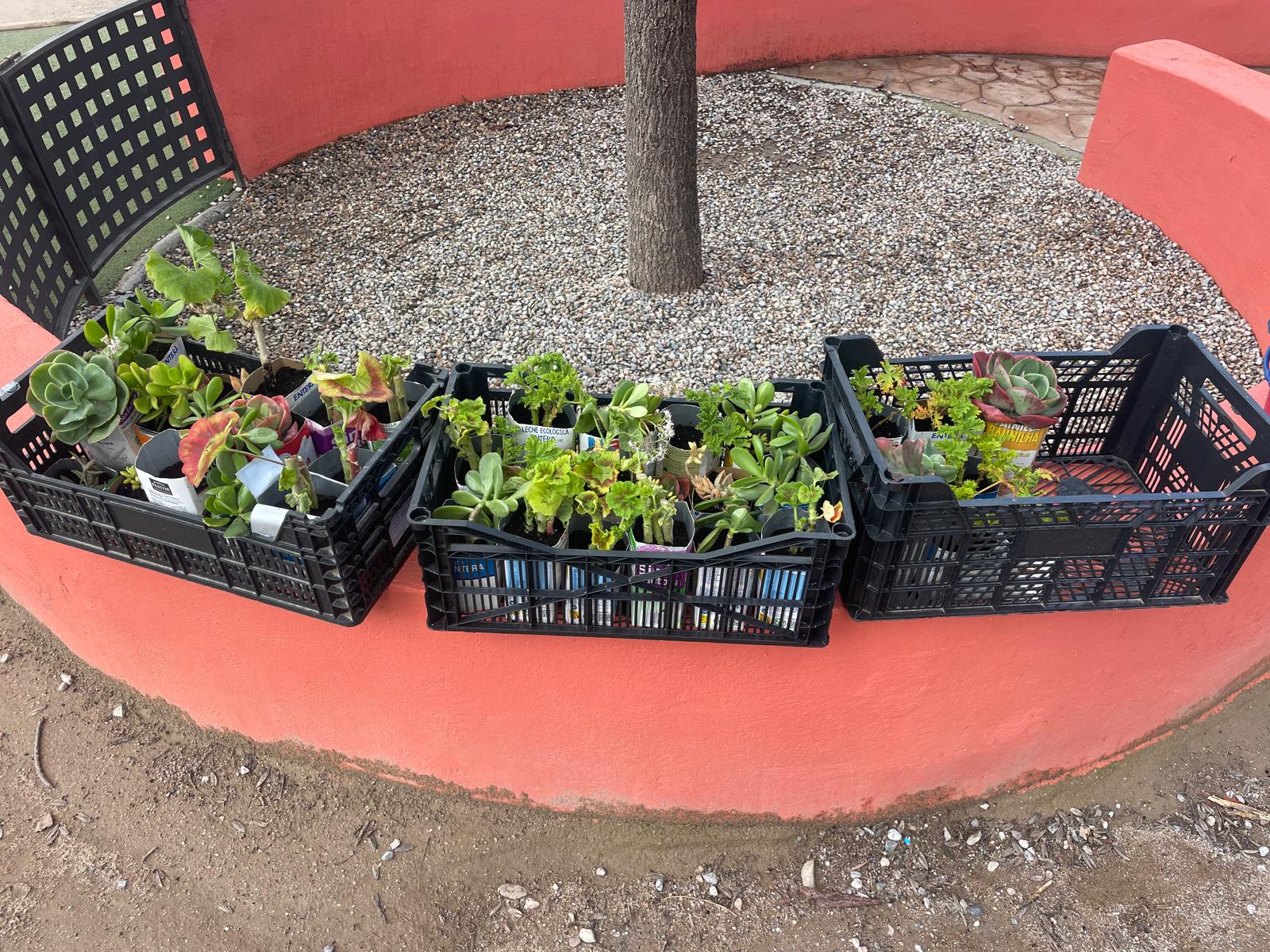 PHOTO-2025-03-20-21-54-38 6 PHOTO-2025-03-20-21-54-38 6